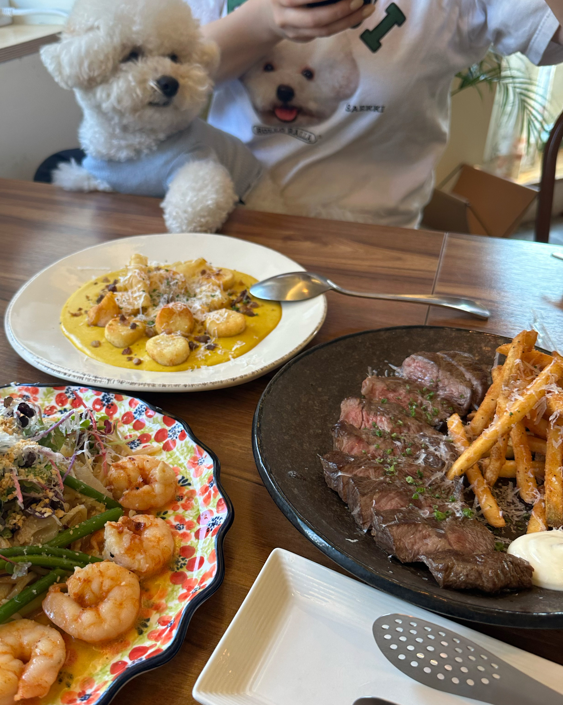 뇨끼 알리오올리오 맛있어요~~~ 짜지않고 간이 딱 알맞아서 좋아요! 강아지랑 같이 올 수