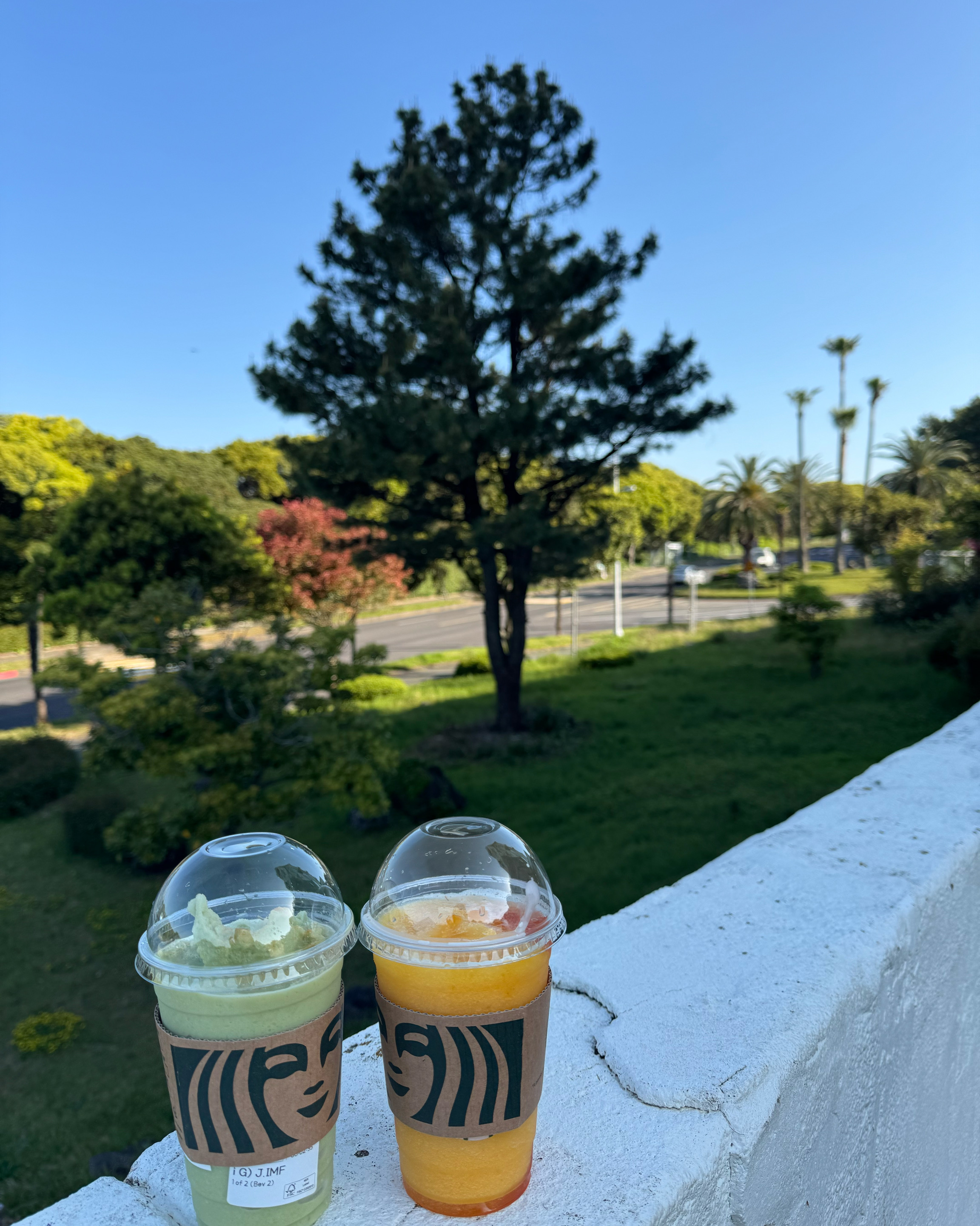 아침일찍부터 열어서 좋아요! - 제주 맛집 스타벅스 제주중문점