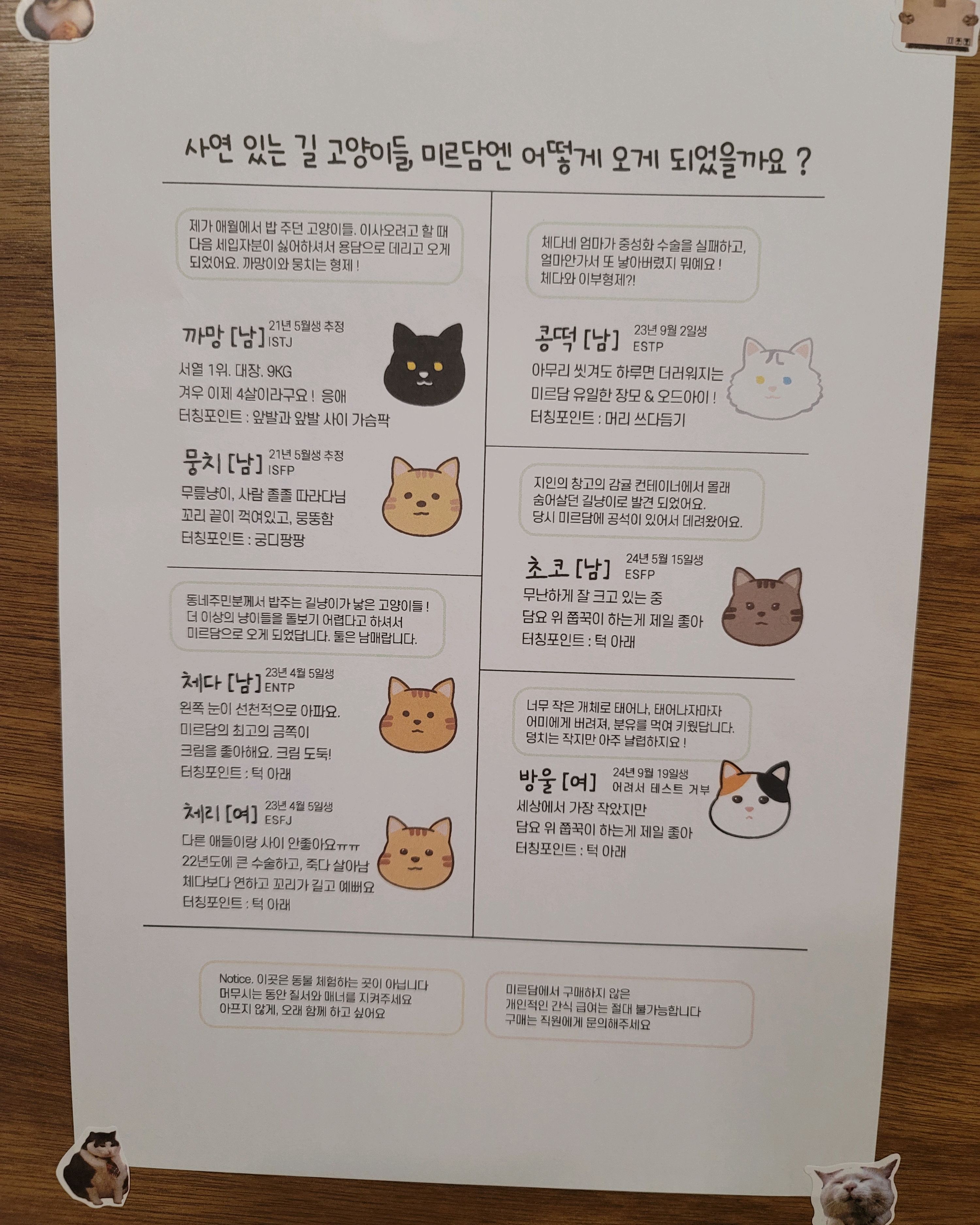 분위기도 좋고~ 고양이도 있으니 더 좋아요~ - 제주 맛집 미르담
