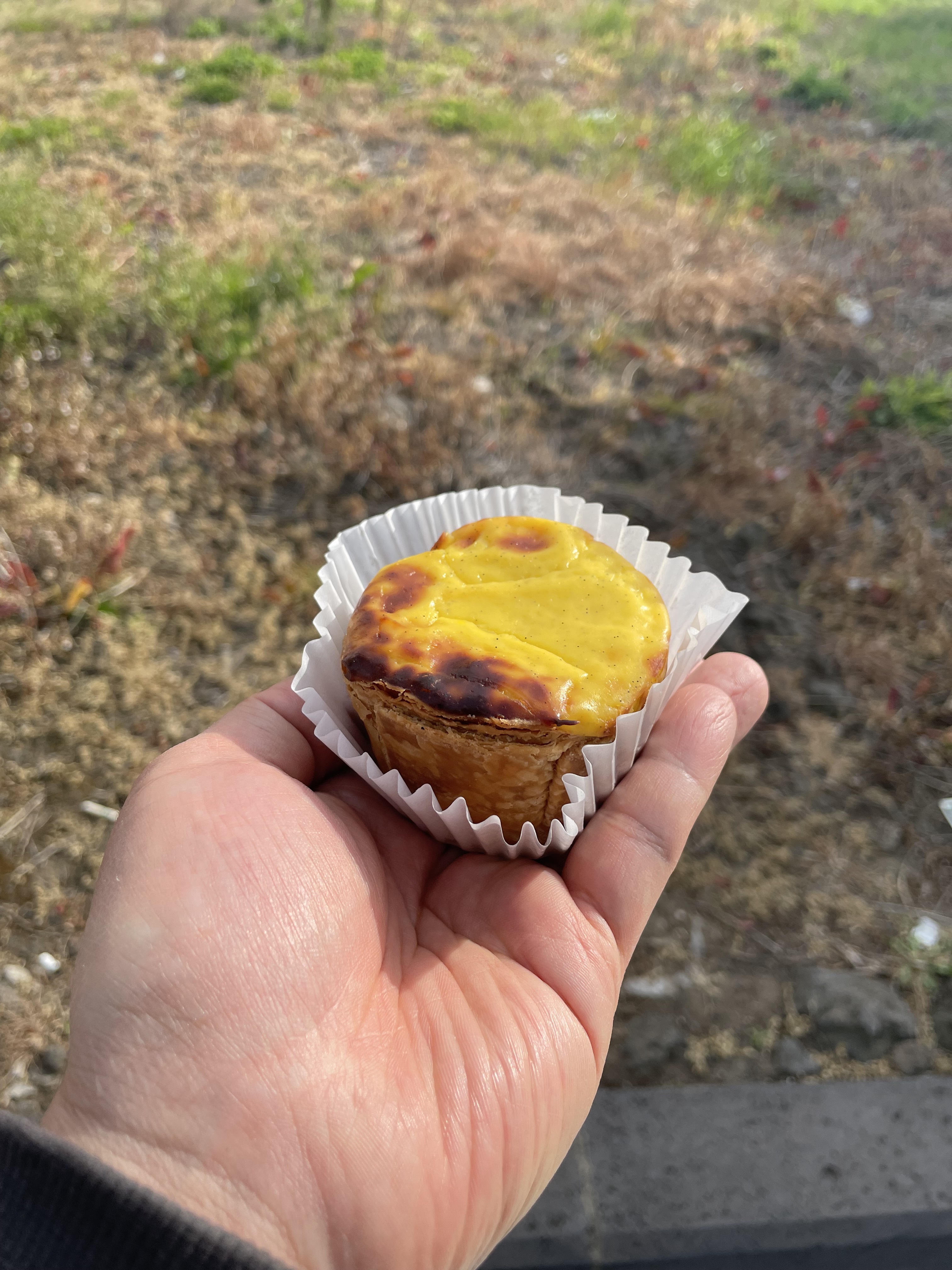 베이커블 에그타르트.. 진짜 부드럽고 탱글하고 당도 딱좋고 넘 맛있어요 제주도 올때마다 꼭