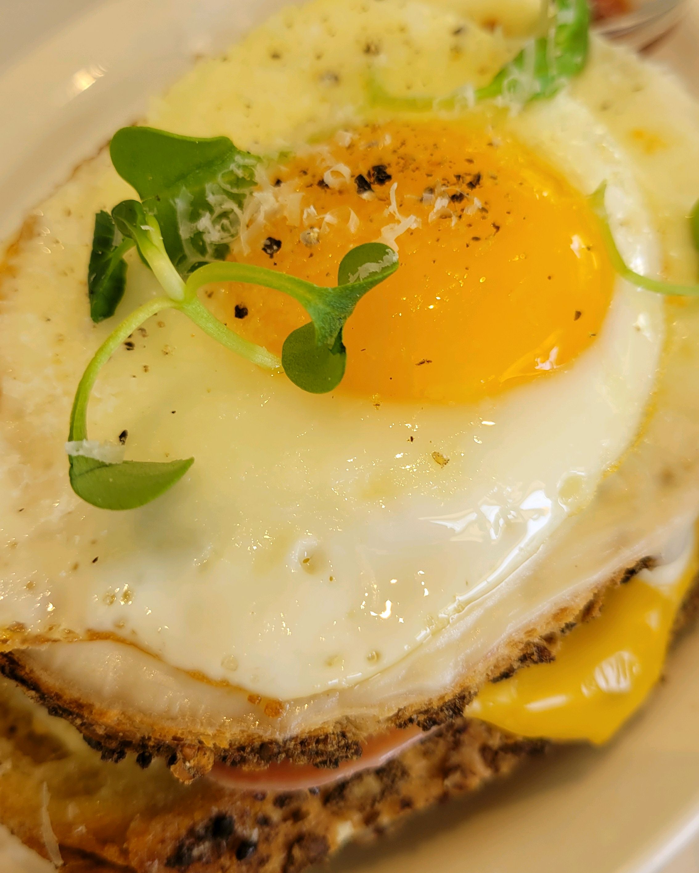 Croque madame