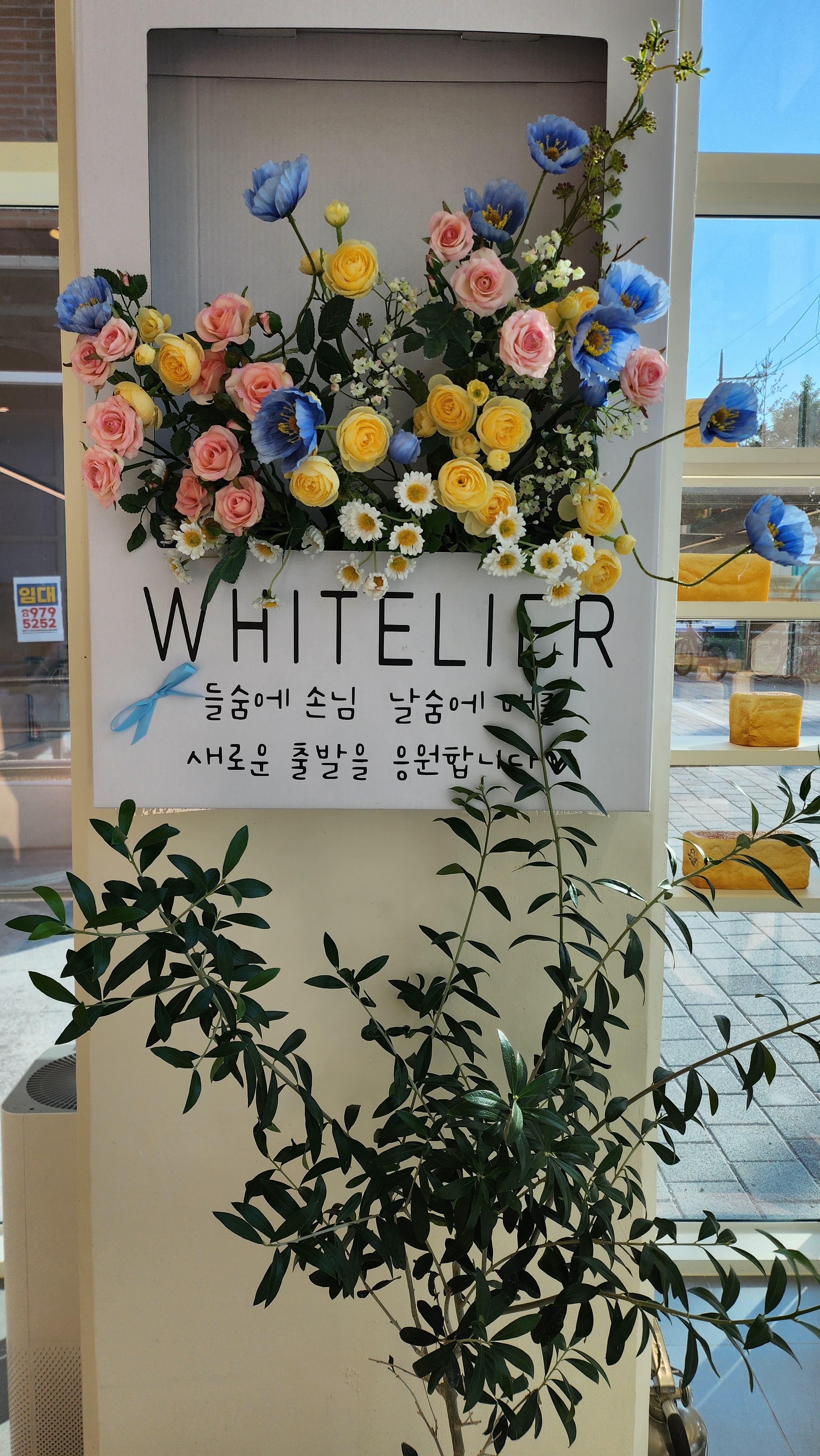 빵 맛있어서 매주 방문 중입니다 - 답십리 맛집 화이트리에 답십리점
