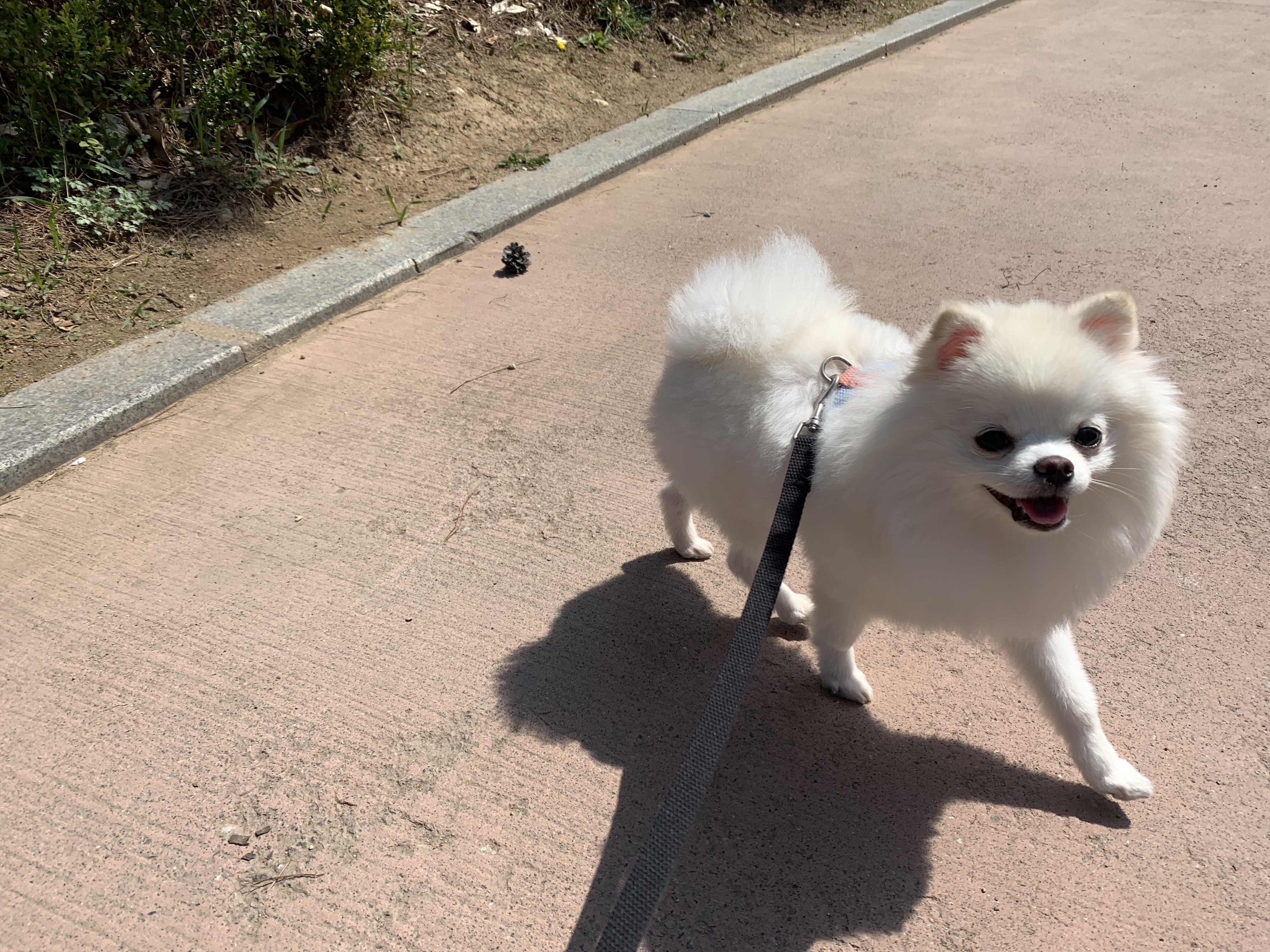 리뷰 사진 1