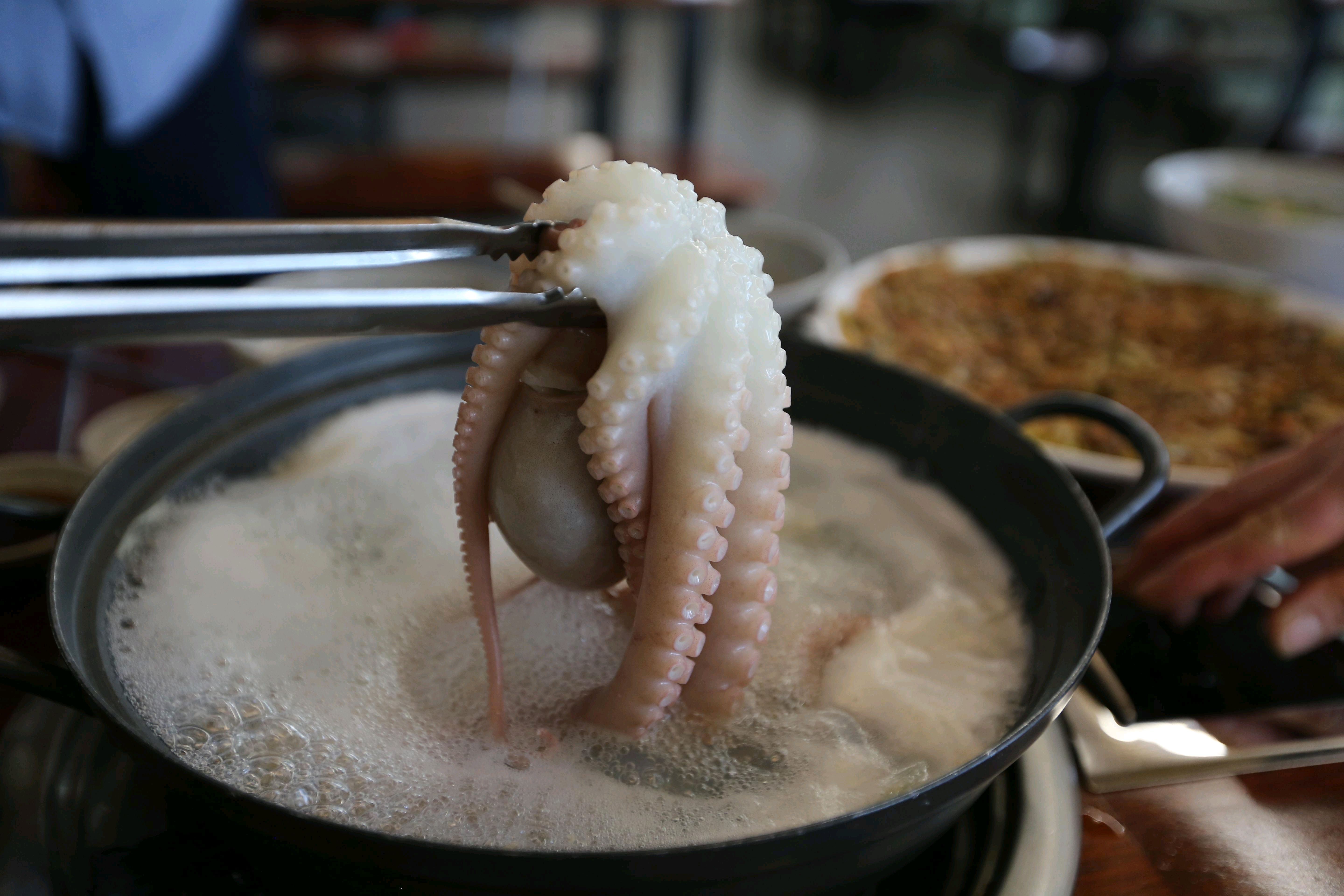 백합칼국수 너무 맛있어요 차돌수제비도 진짜 맛있고 담에 또 먹으러 가고 싶네요 친구들이랑