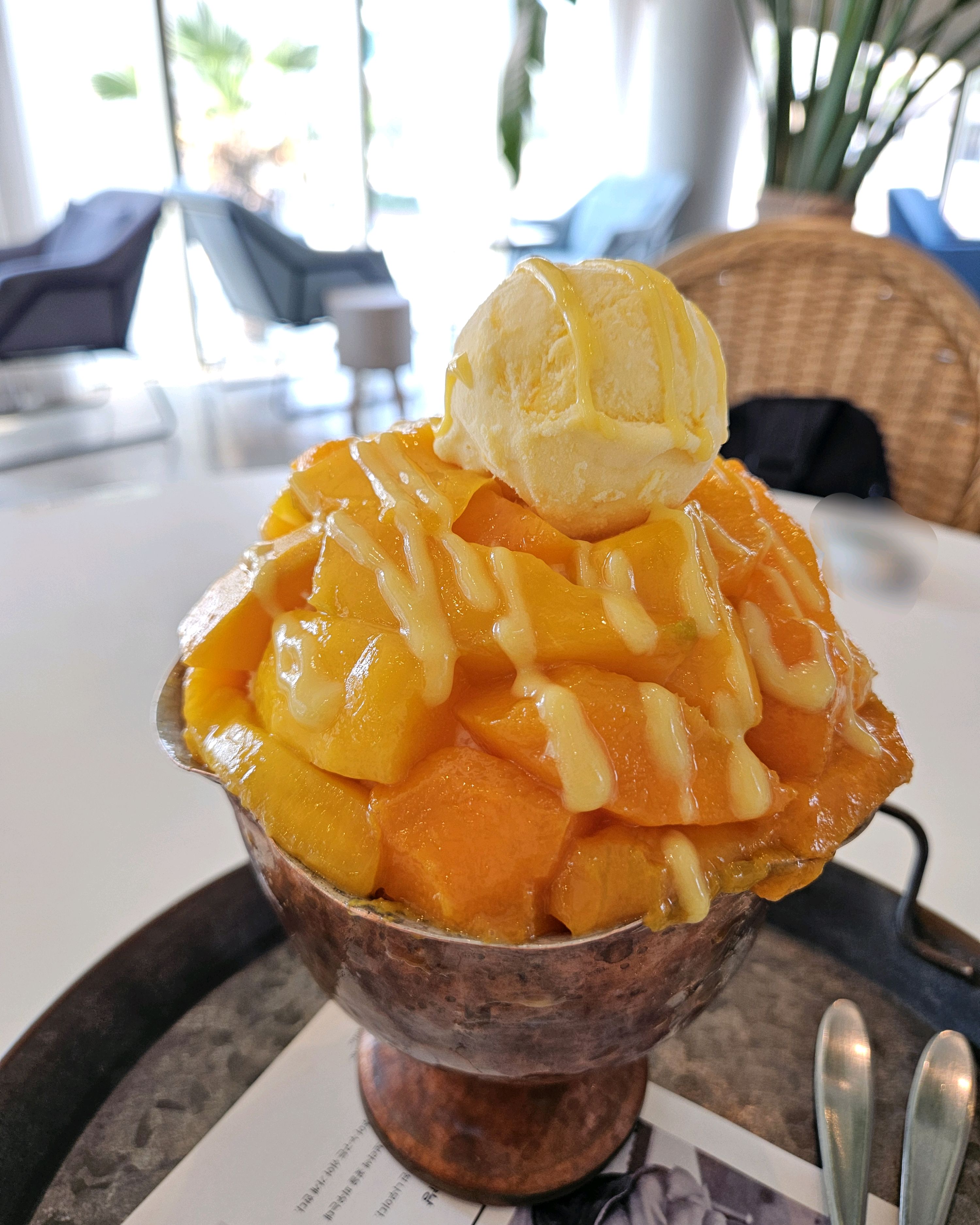 제주 여행오면 애플망고빙수 항상 먹고 싶었는데 시내에 딱 있어서 좋아요. 냉동망고 아니고 