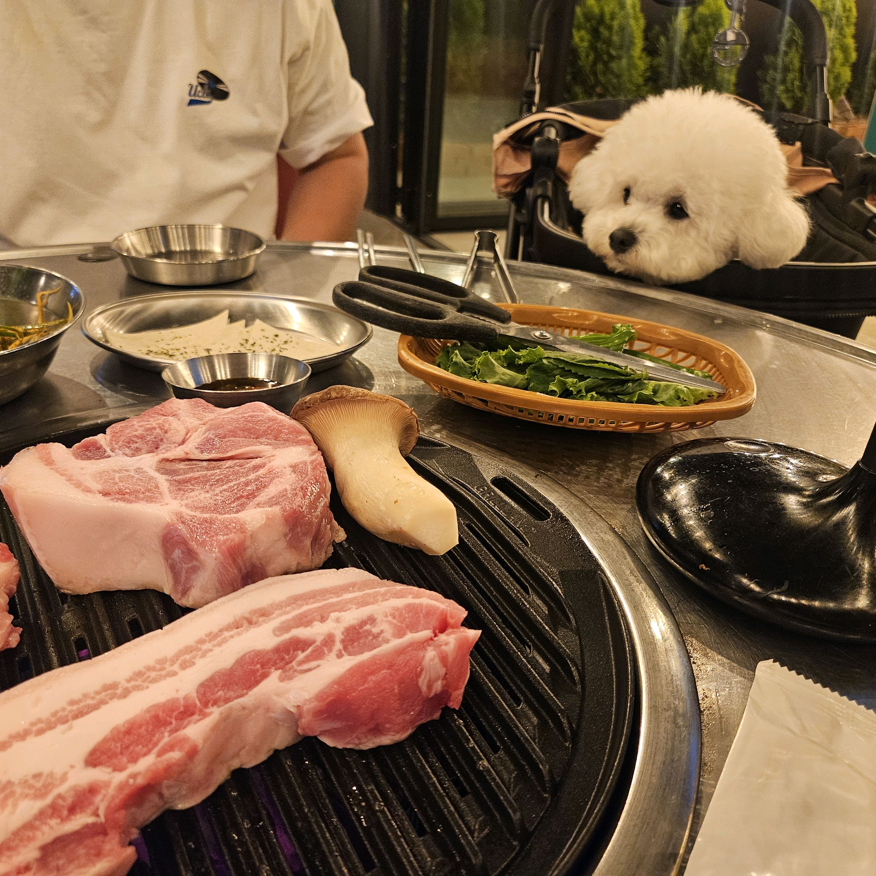 여행와서 우연히찾은곳인데 직원분들이 너무친절하시고 고기질이너무좋아요!!!! - 아바이마을 맛집 달빛돈가 속초본점