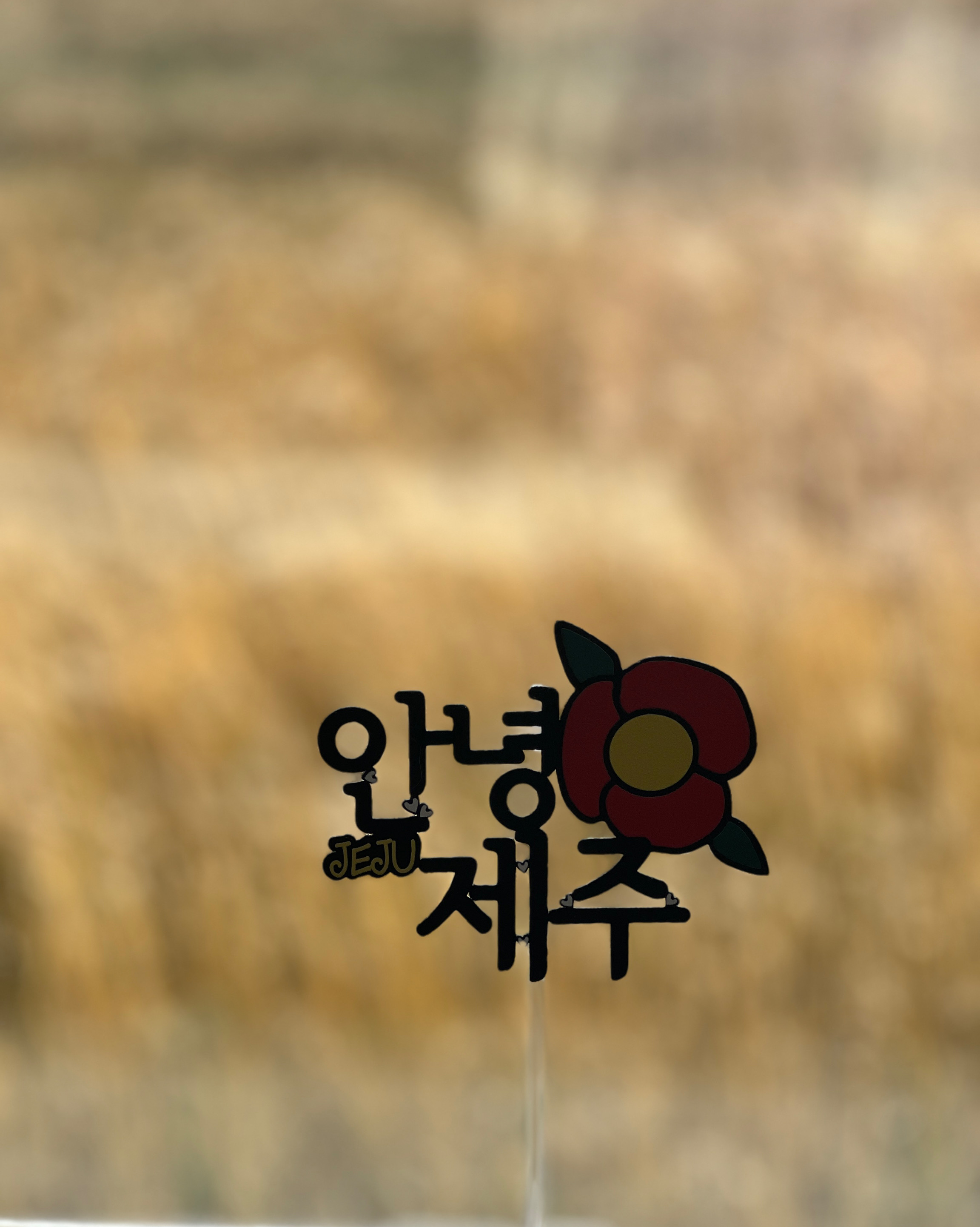 뷰가 정말 좋아요! 사진찍기에 최고네요!! - 제주 맛집 비케이브