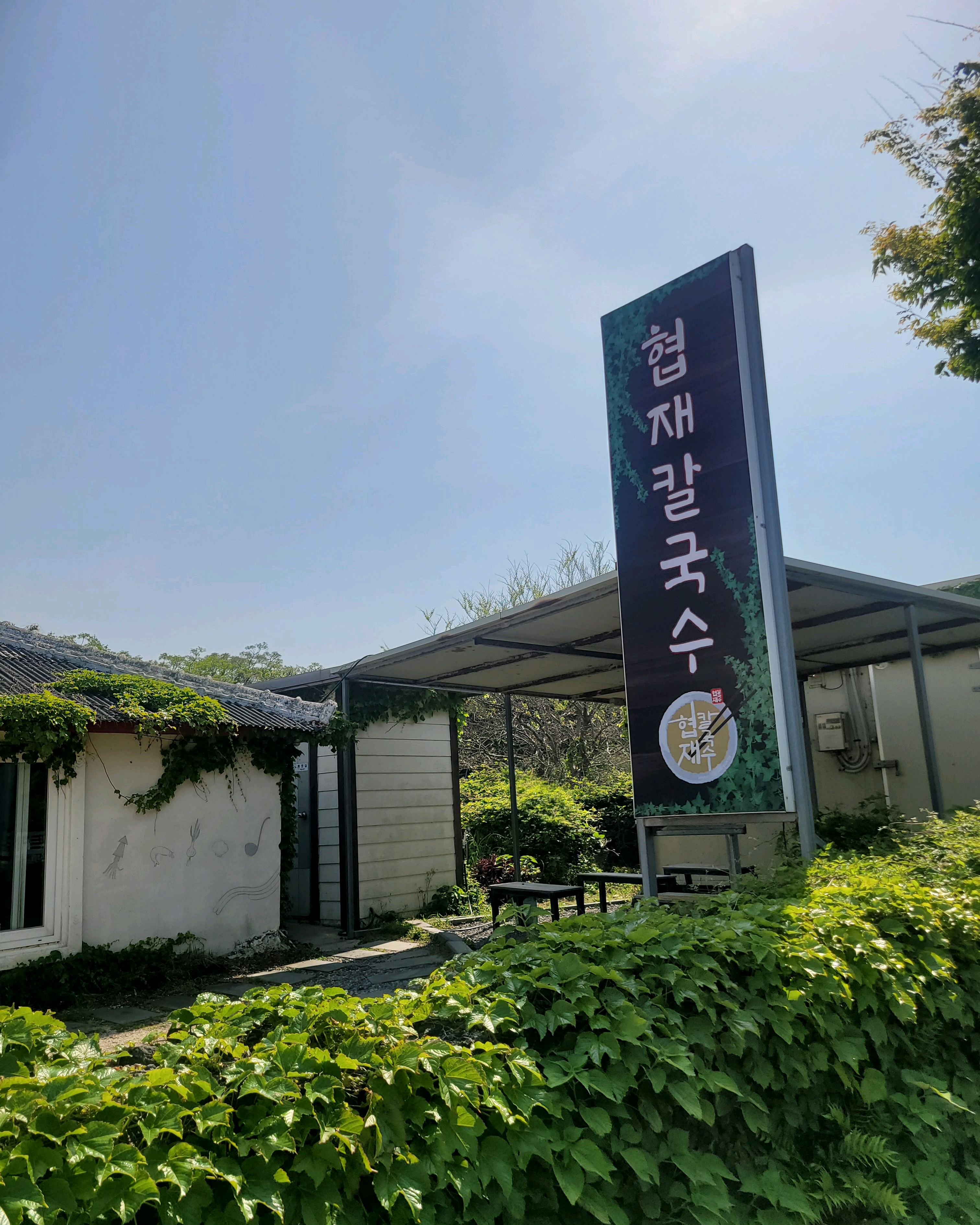제주 맛집 협재칼국수 6번째 리뷰 이미지