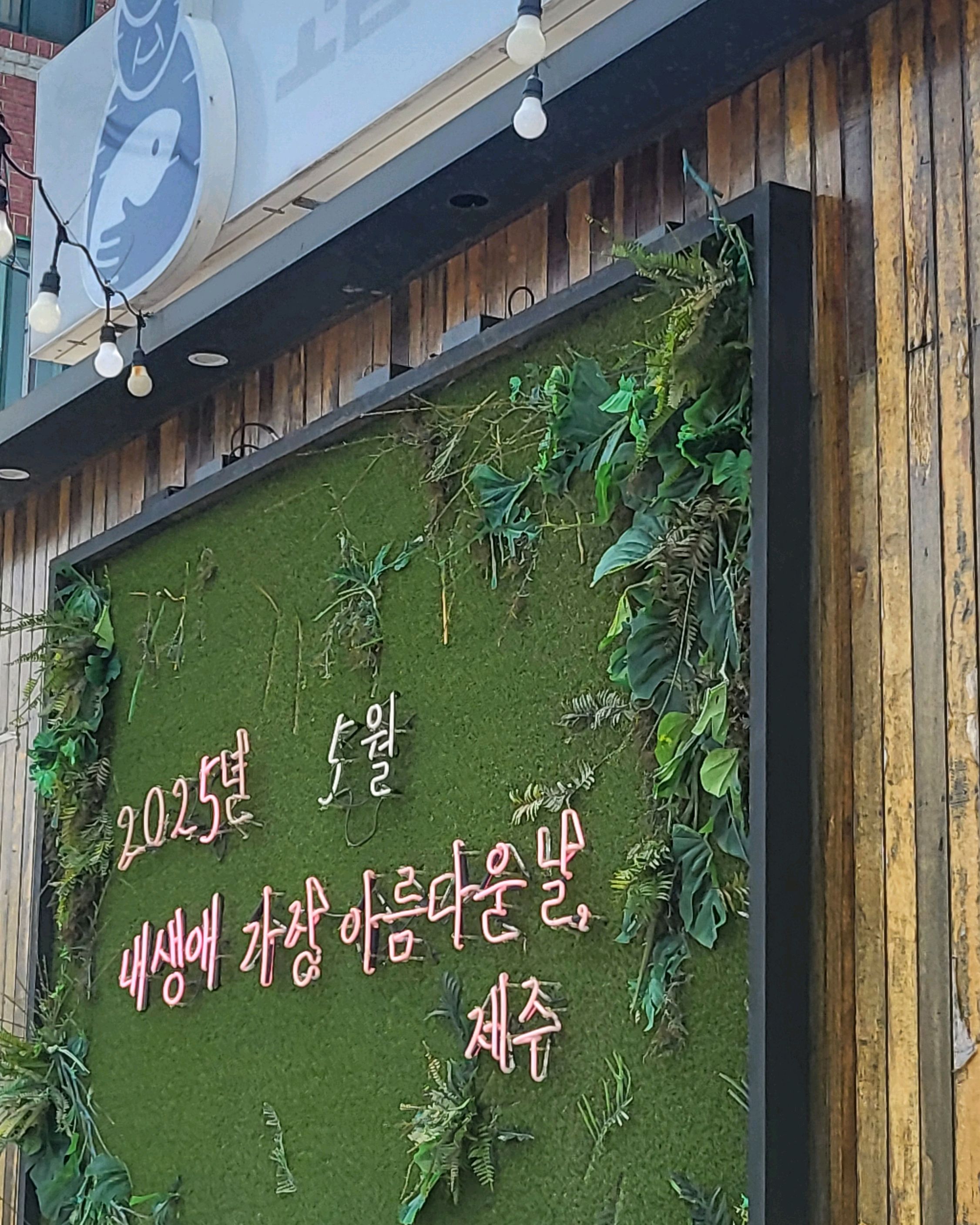 #260만미식흑백평가단 - 제주 맛집 고집돌우럭 제주공항점