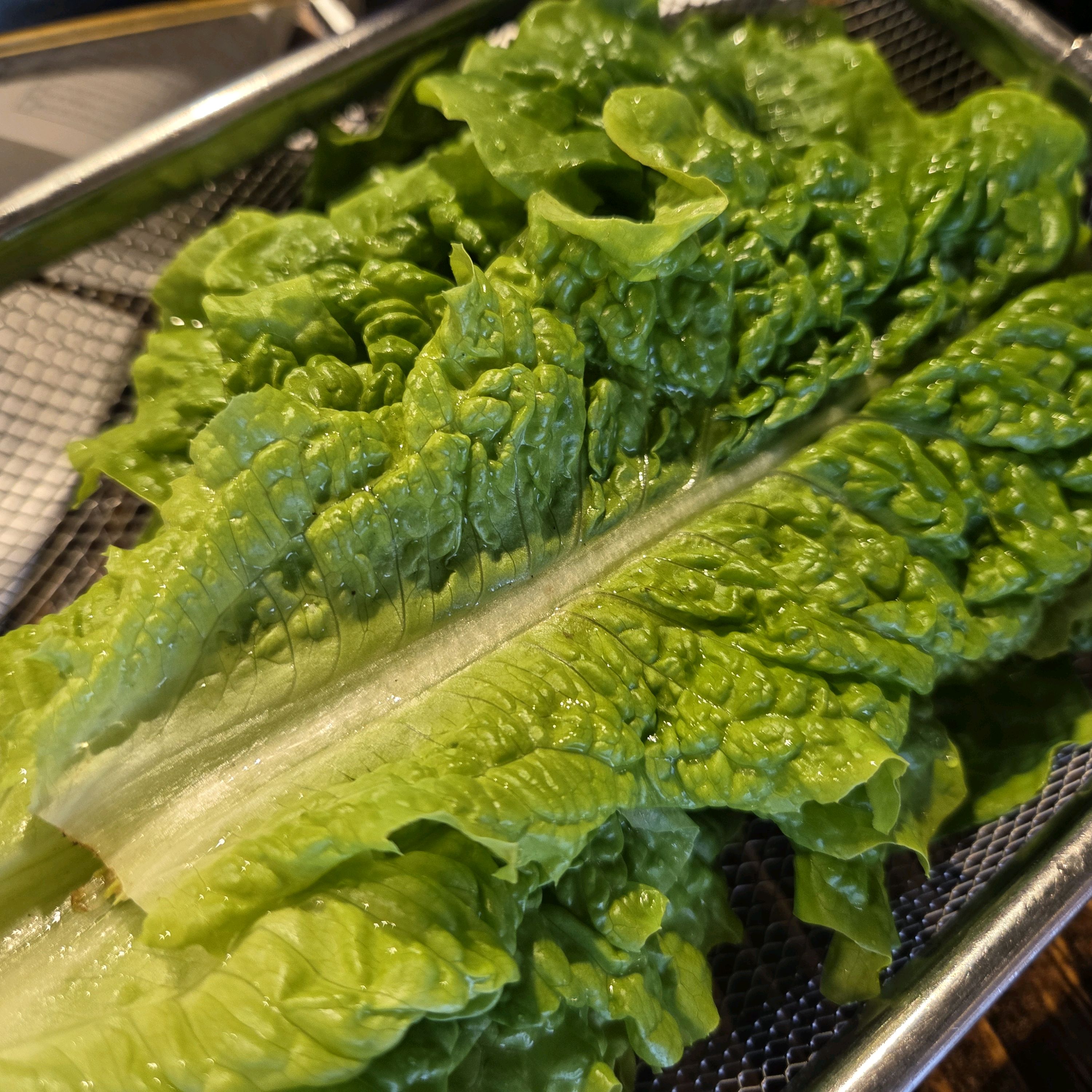 너무 맛있어요! - 제주 맛집 애월 삼육공본점 숙성흑돼지