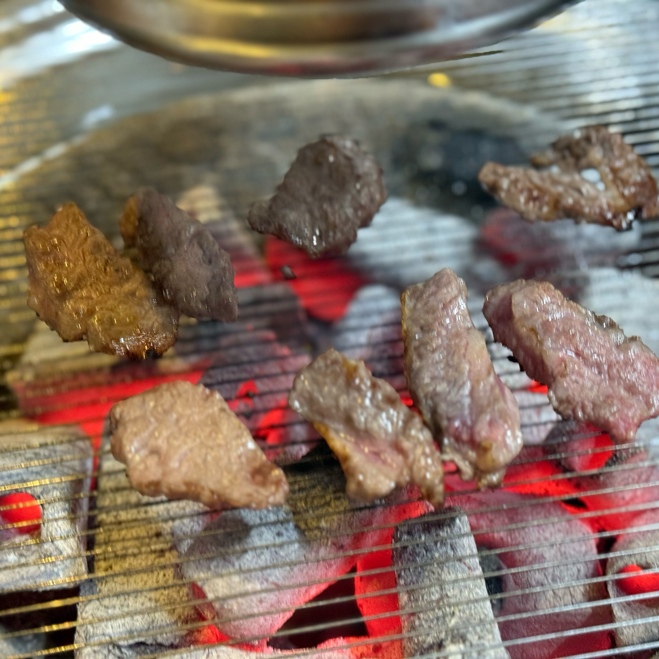 소코기랑 조개랑 만남이라니 - 대구 맛집 첫눈에 반했소