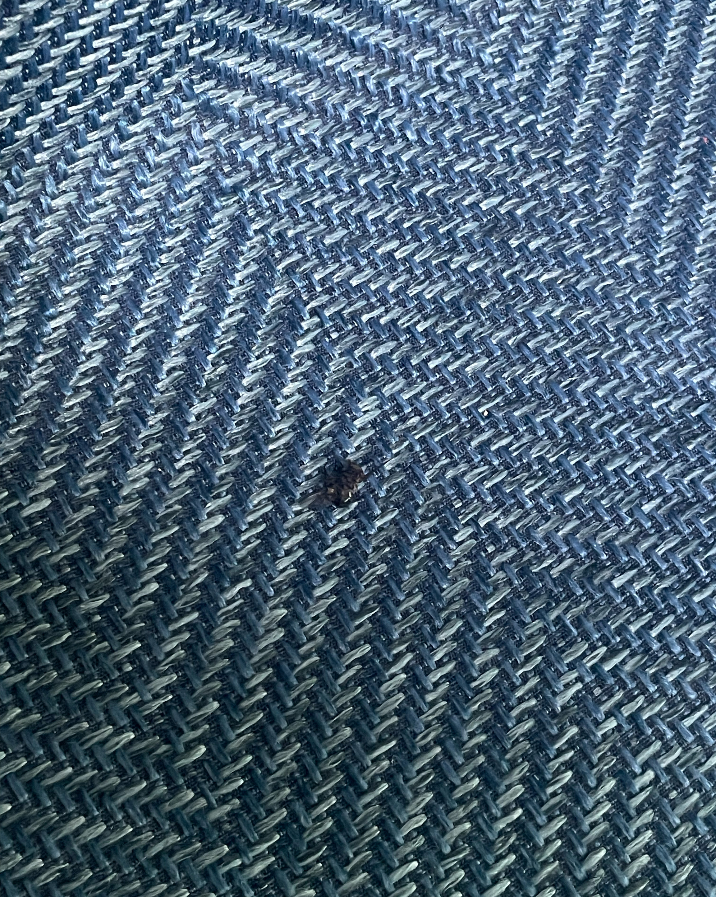 선물용으로 산건데 박스 열자마자 똥파린지 대왕파린지 나와서 잡느라 힘들었어요; 음식이랑