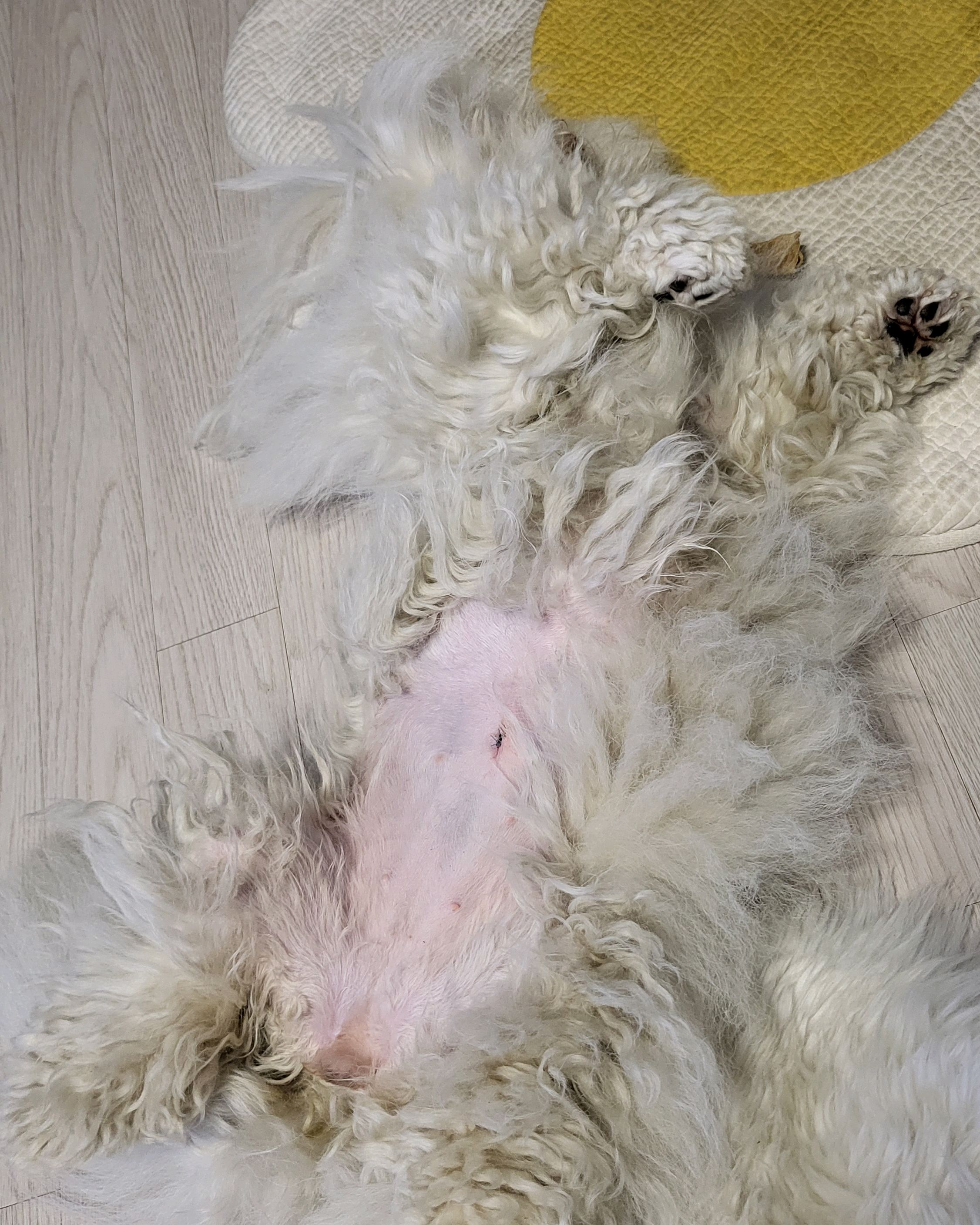 리뷰 사진 2