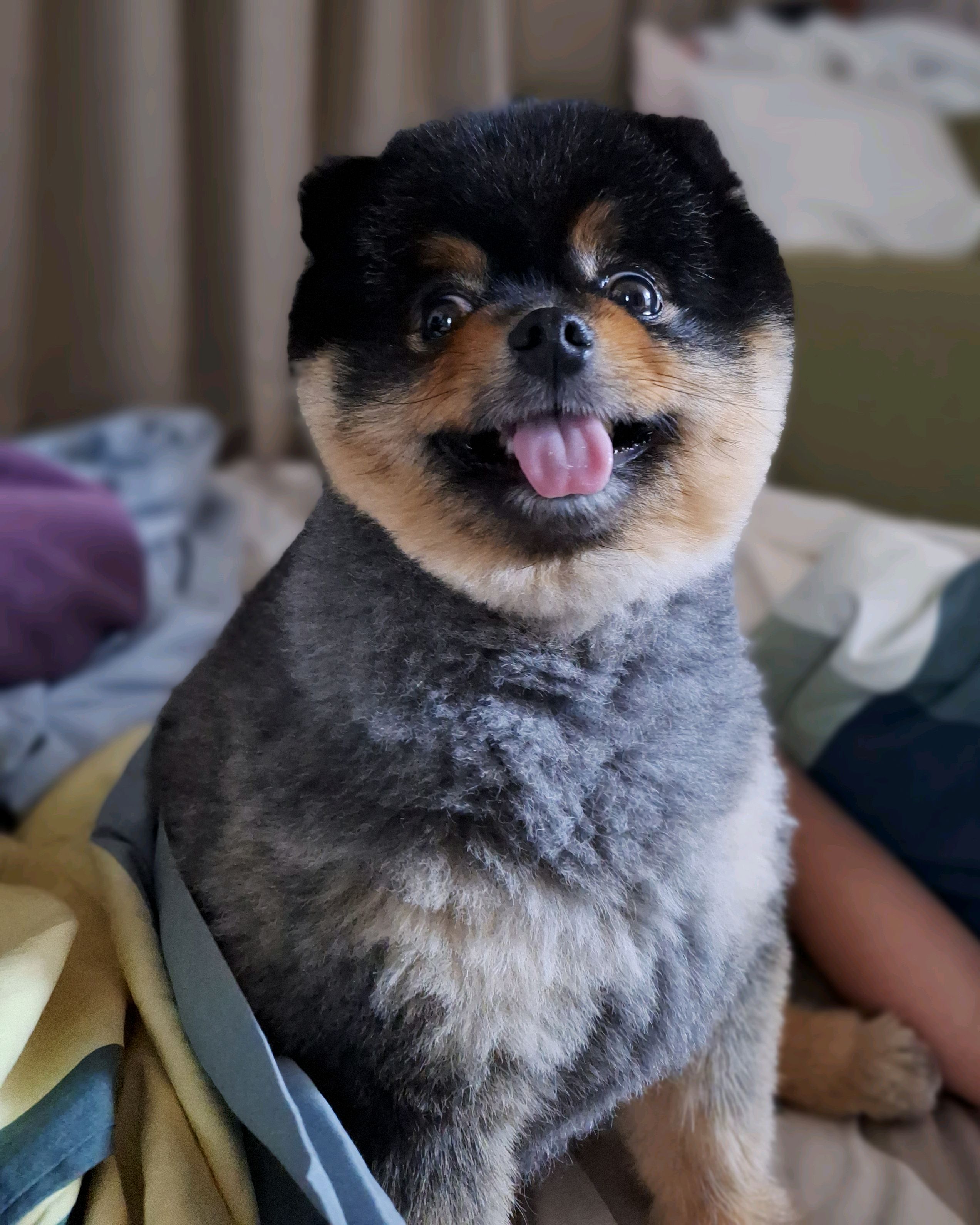 리뷰 사진 1