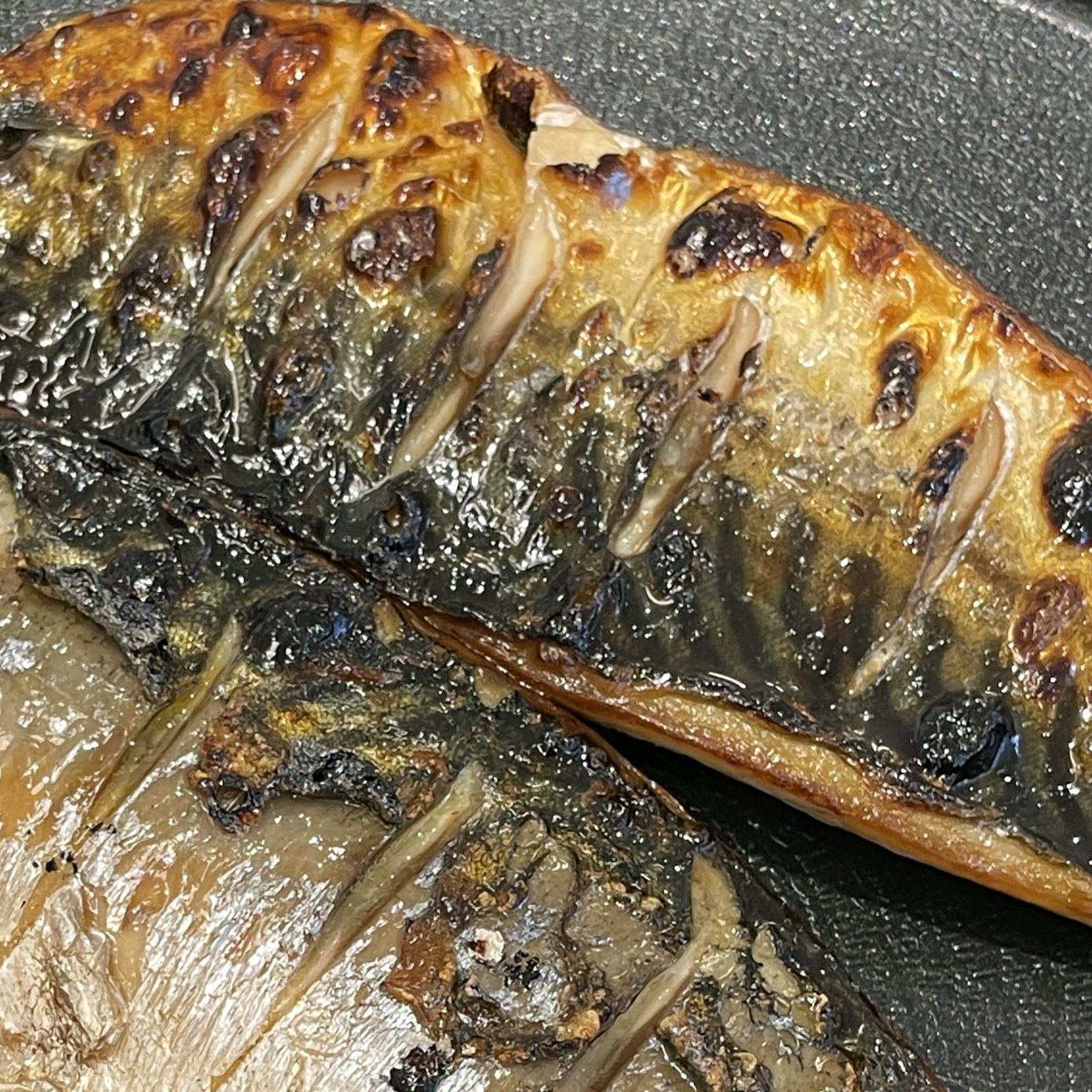 새로 생겼다는 소문듣고 찾아갔어요 - 대구 맛집 금등어 달서구 직영점