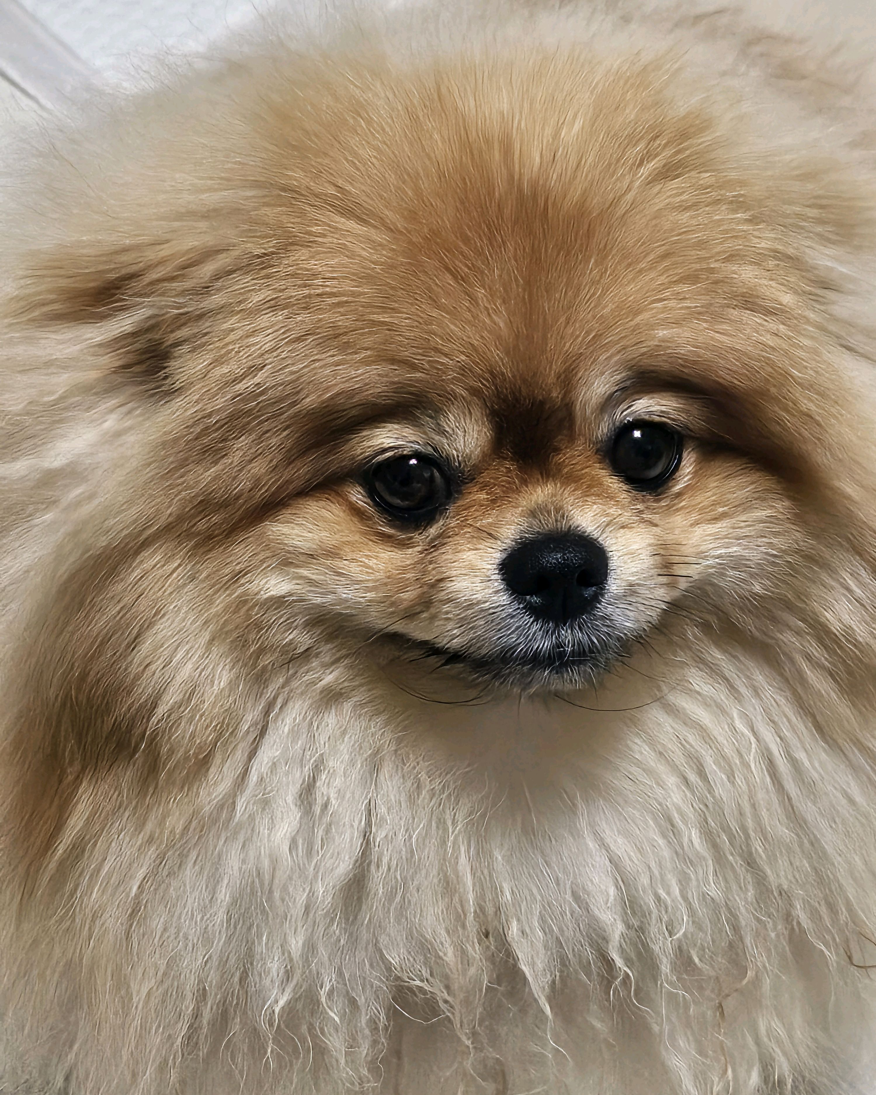 리뷰 사진 1