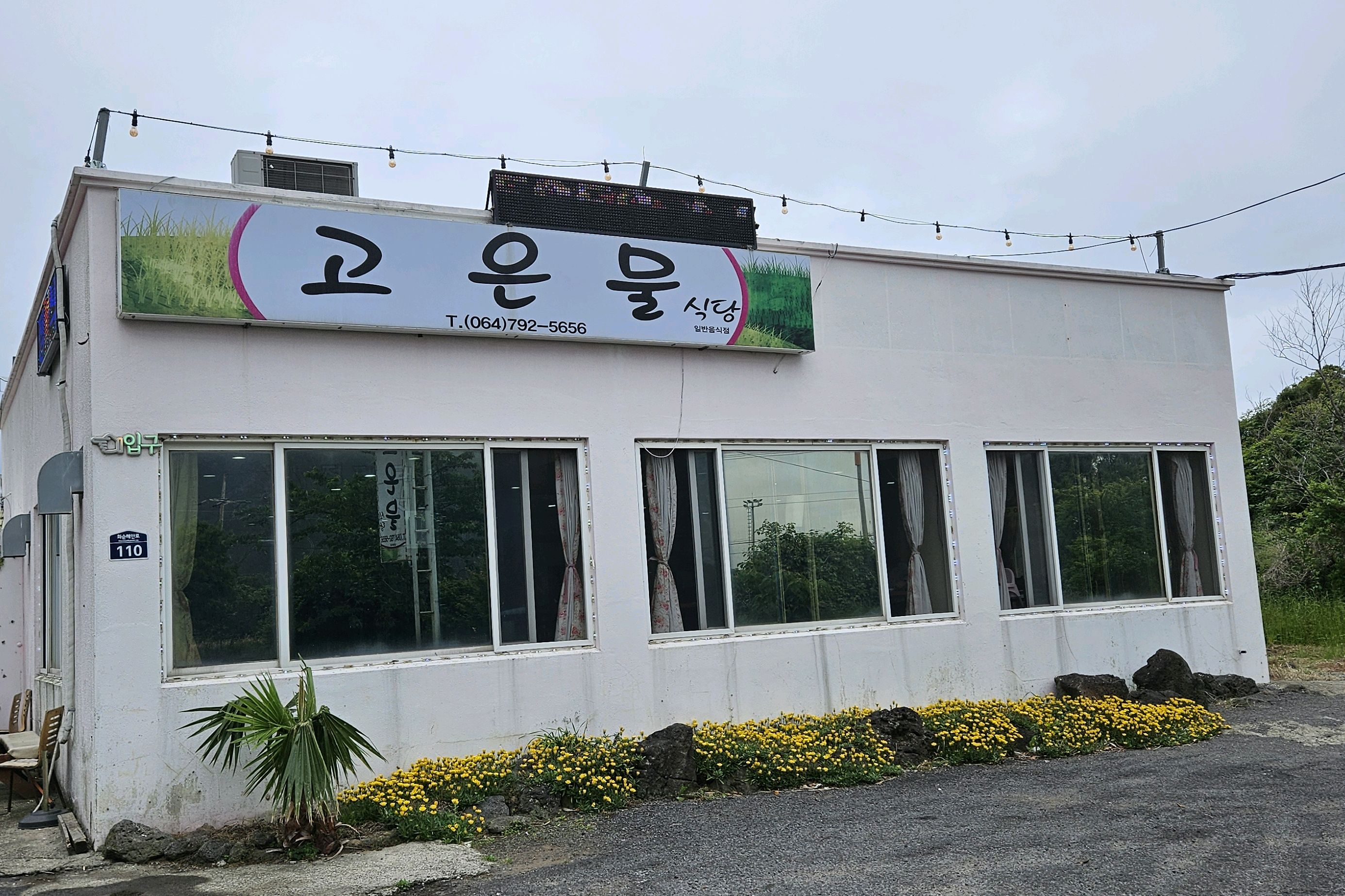 제주 맛집 고은물식당 제주산방산점 5번째 리뷰 이미지