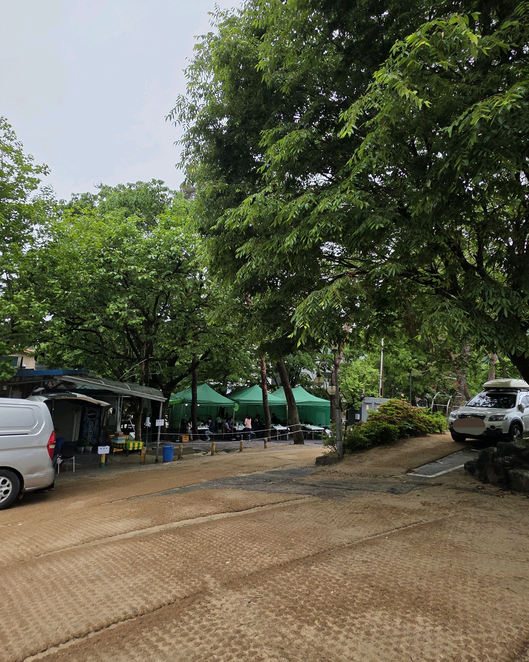 대전 맛집 솔밭묵집 3번째 리뷰 이미지