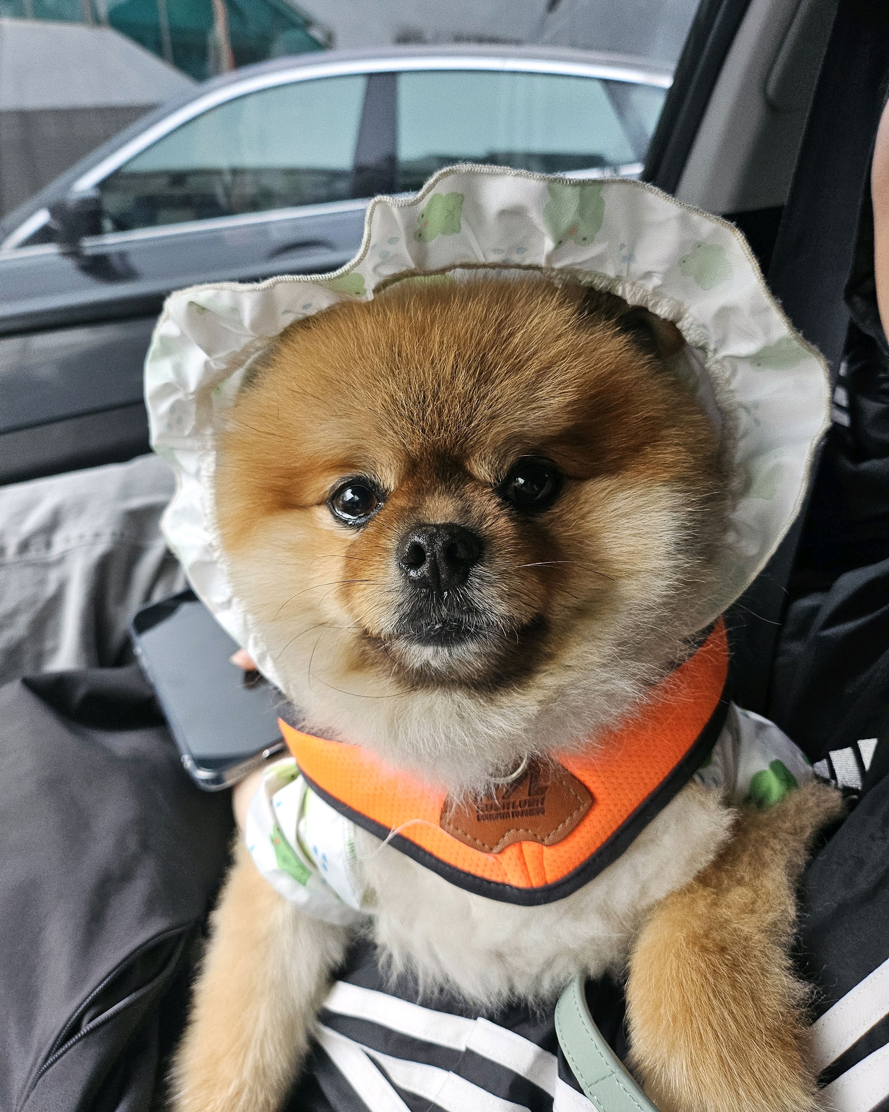 리뷰 사진 1