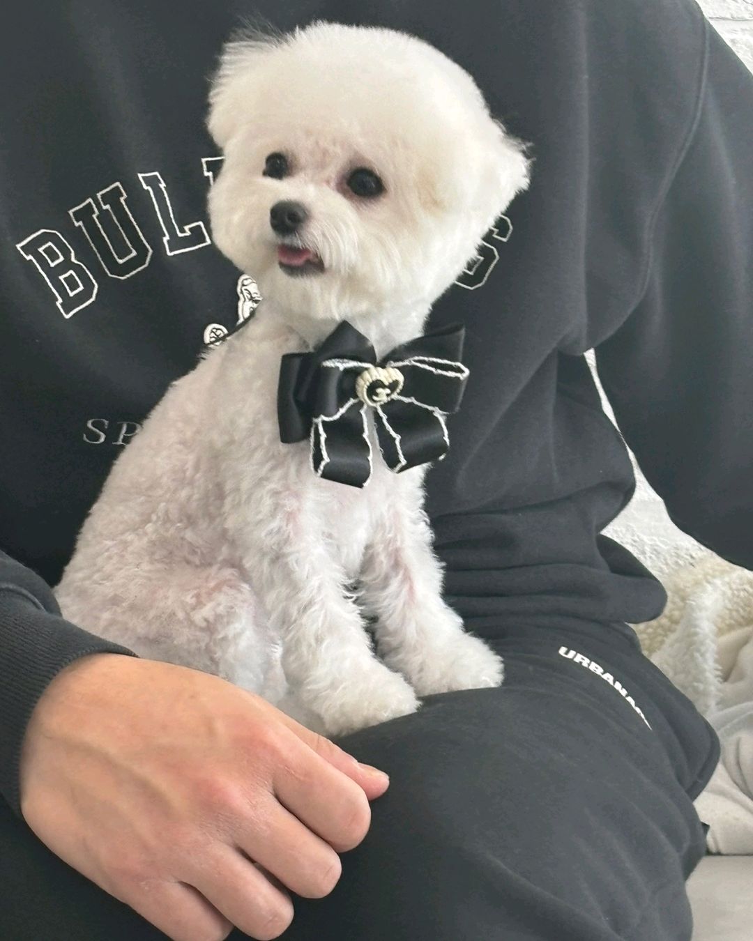 리뷰 사진 1