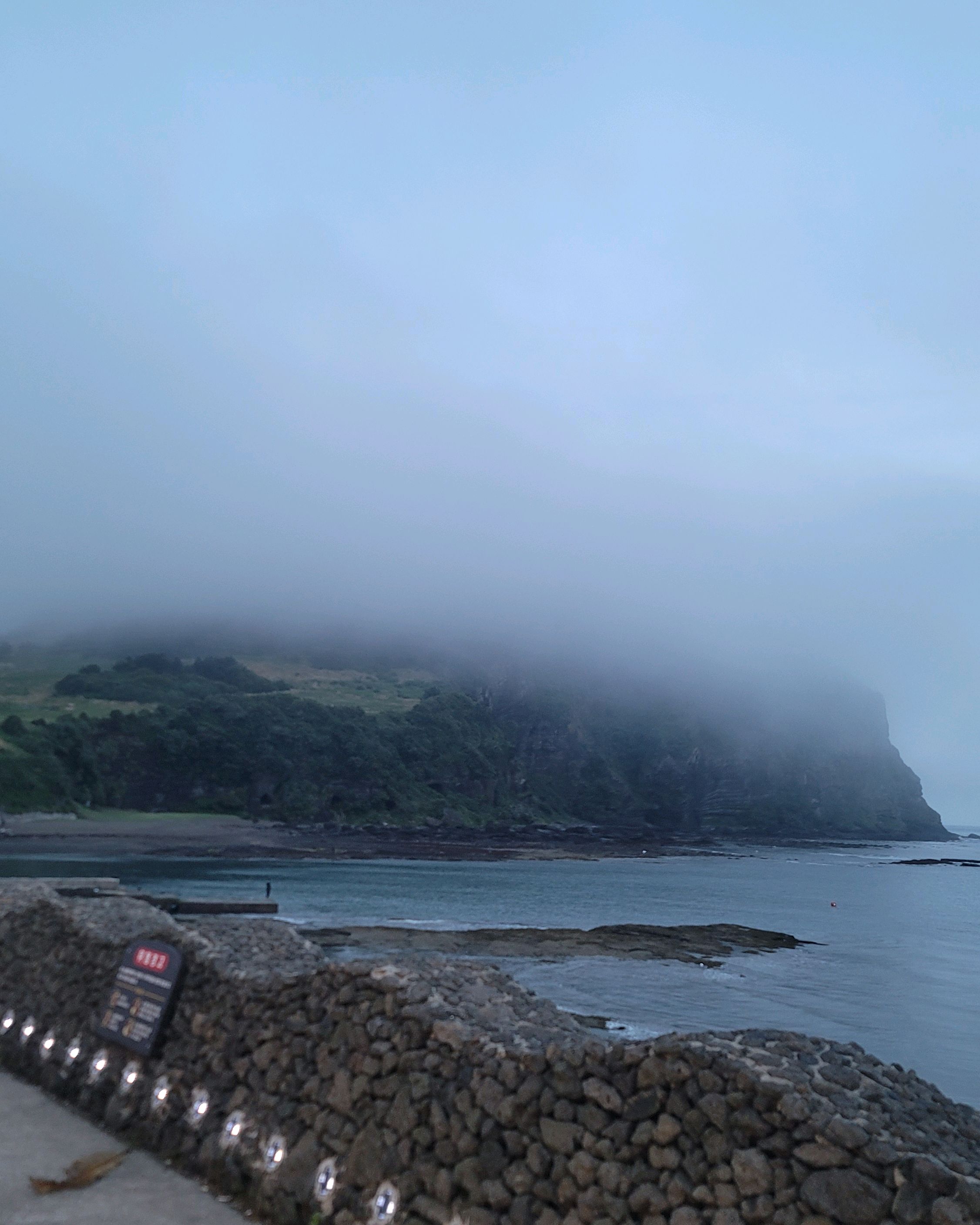 제주 맛집 전망좋은횟집&흑돼지 성산본점 7번째 리뷰 이미지