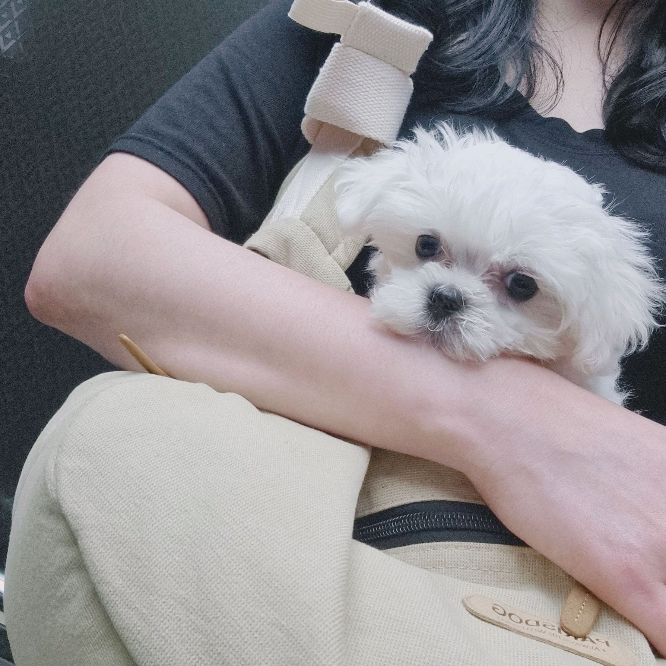 리뷰 사진 1