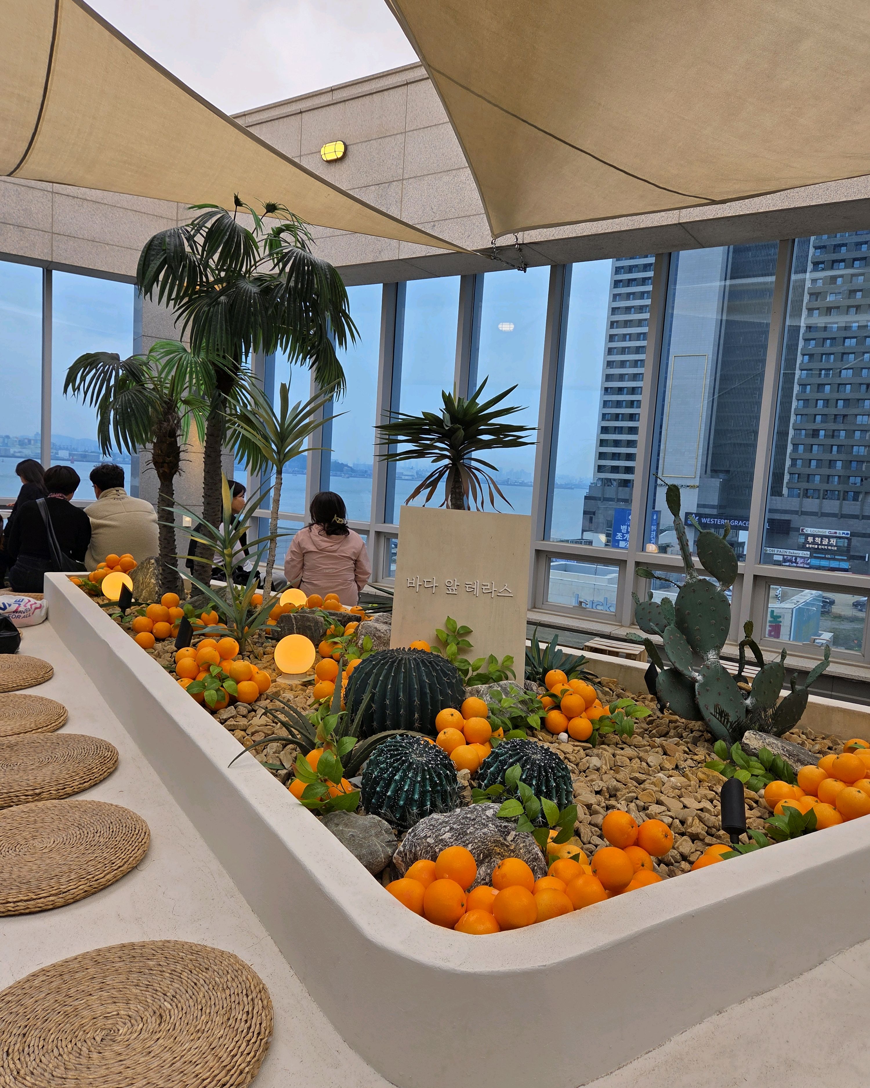 한라봉 가득한 인테리어가 너무 귀여워요 🍊🧡 디저트가 엄청 다양해서 고르는 재미가 있어요.