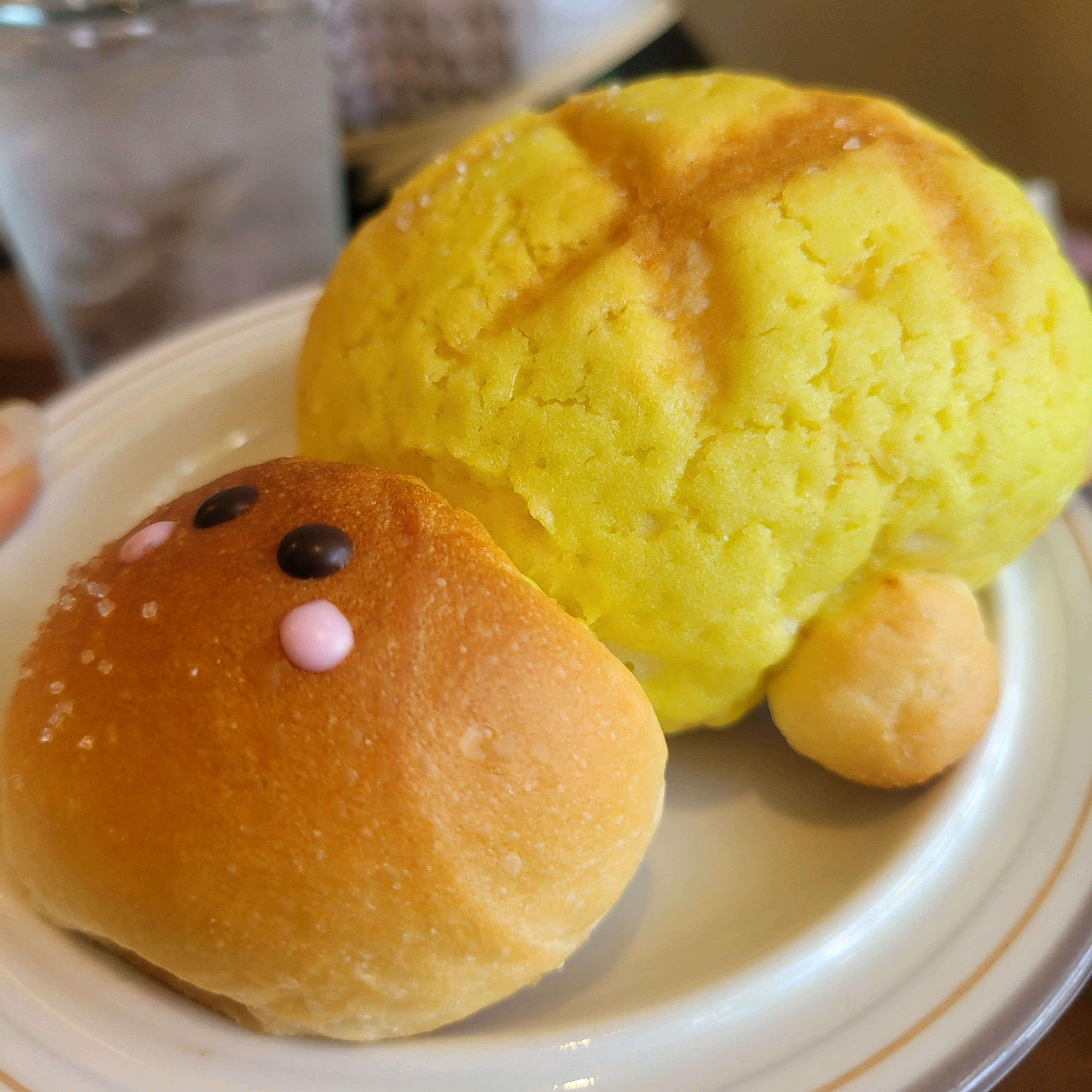 따끈따끈베이커리 거북이 메론빵 4500원 - 대구 맛집 따끈따끈베이커리