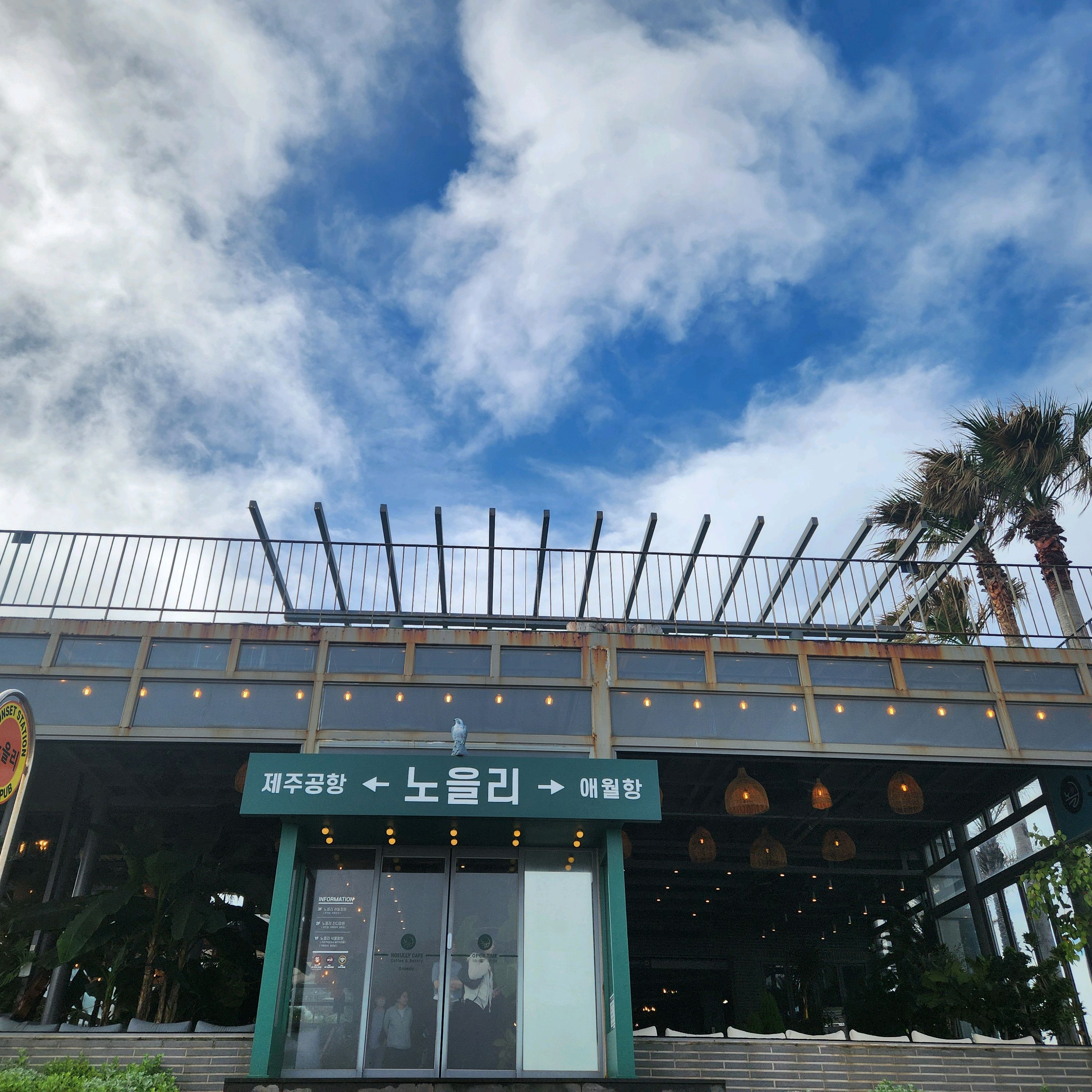 오픈런으로 방문했어요.. - 제주 맛집 노을리
