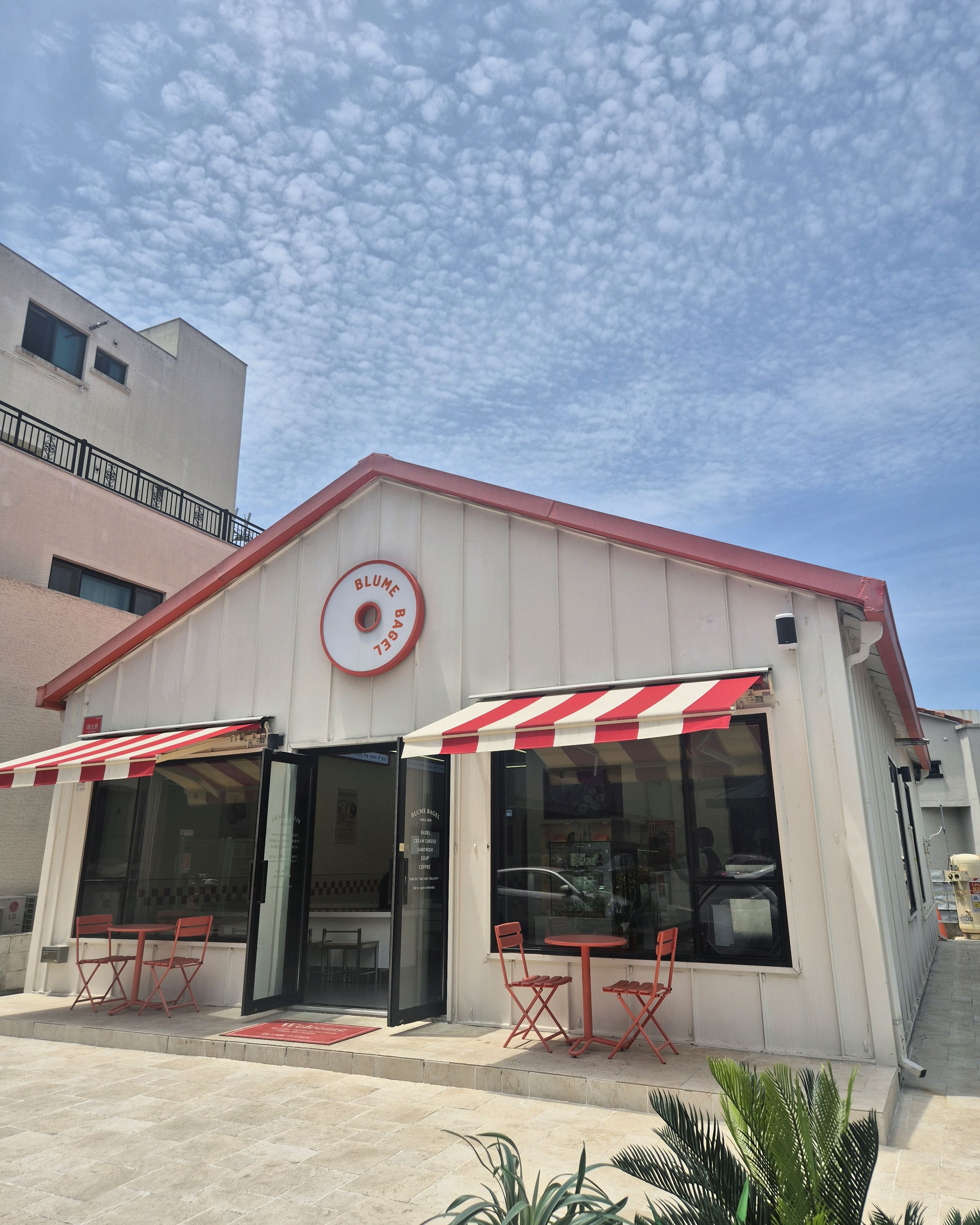 제주 맛집 블루메베이글 11번째 리뷰 이미지