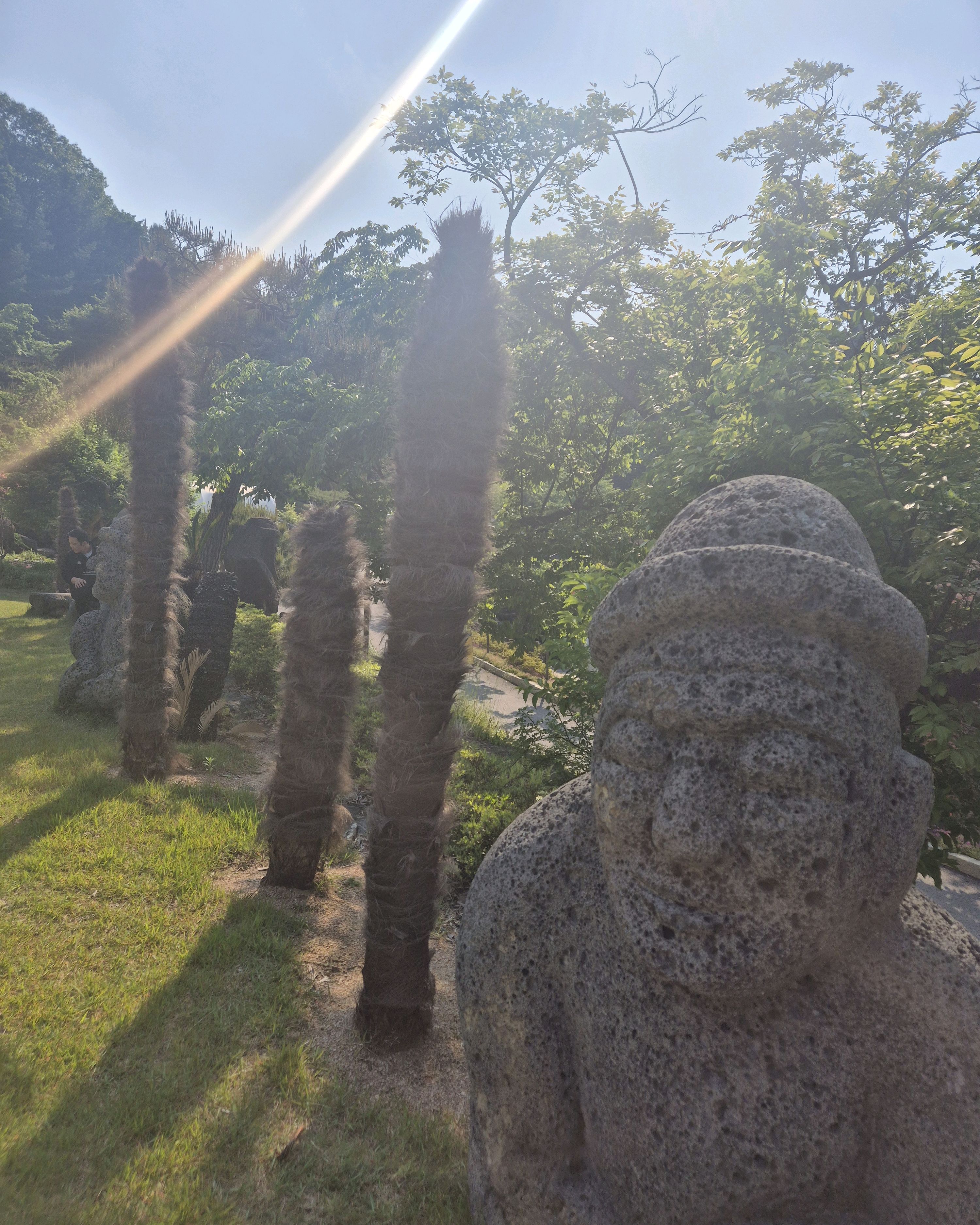 대전 맛집 더노은로 8번째 리뷰 이미지
