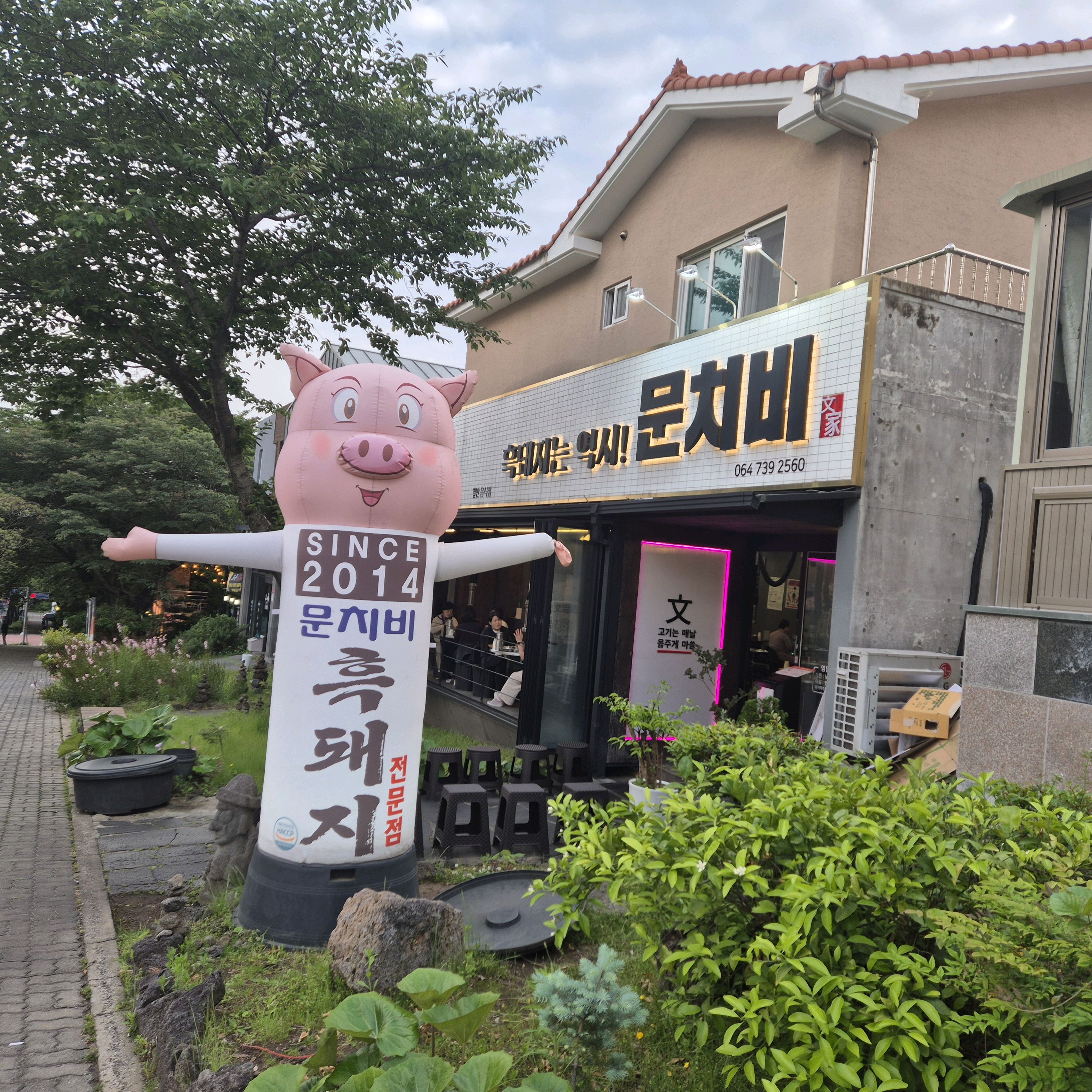 문치비 흑돼지... 너무맛있어요!!! - 제주 맛집 문치비 서귀포신시가지점