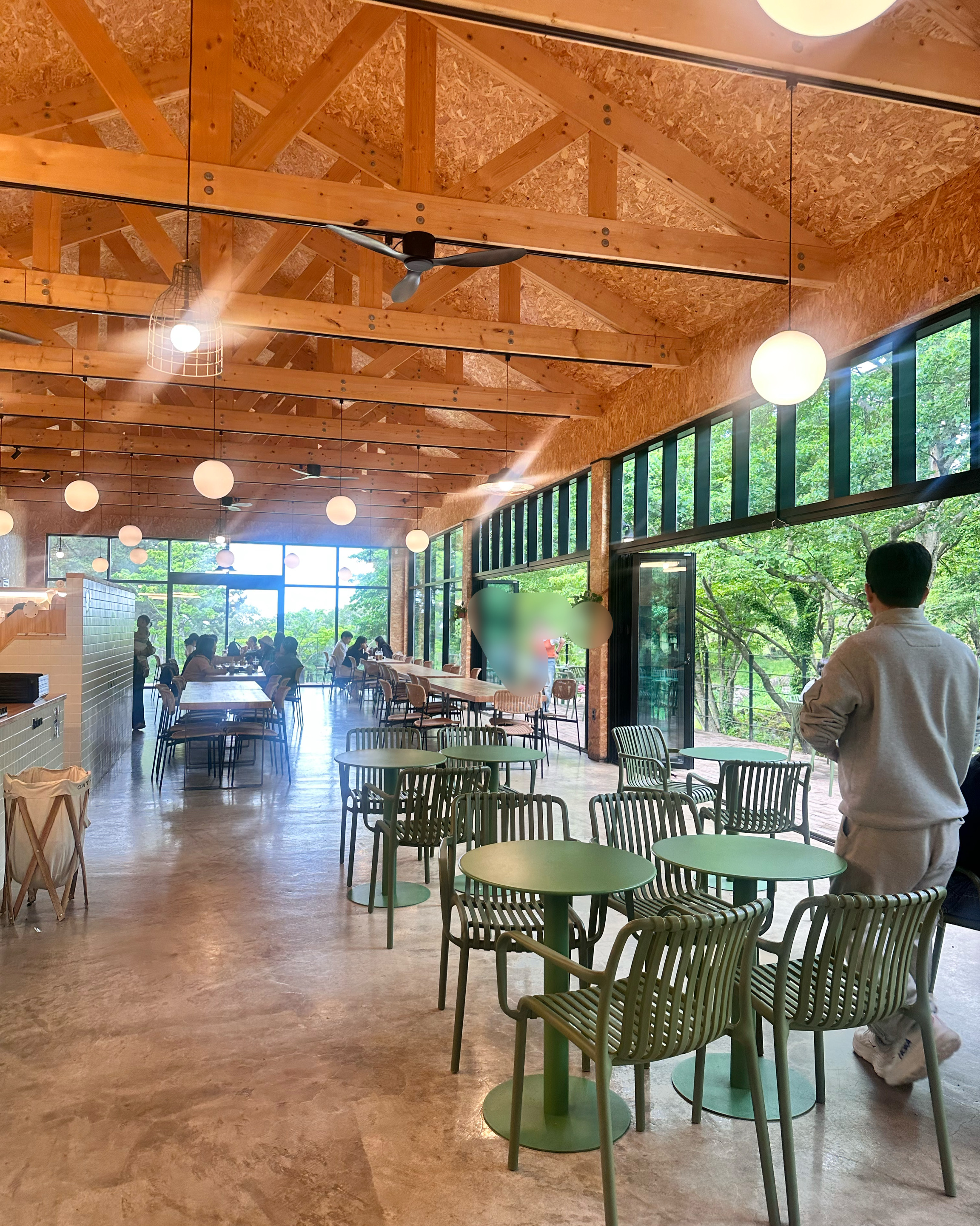 제주 맛집 이끼숲소길 48번째 리뷰 이미지