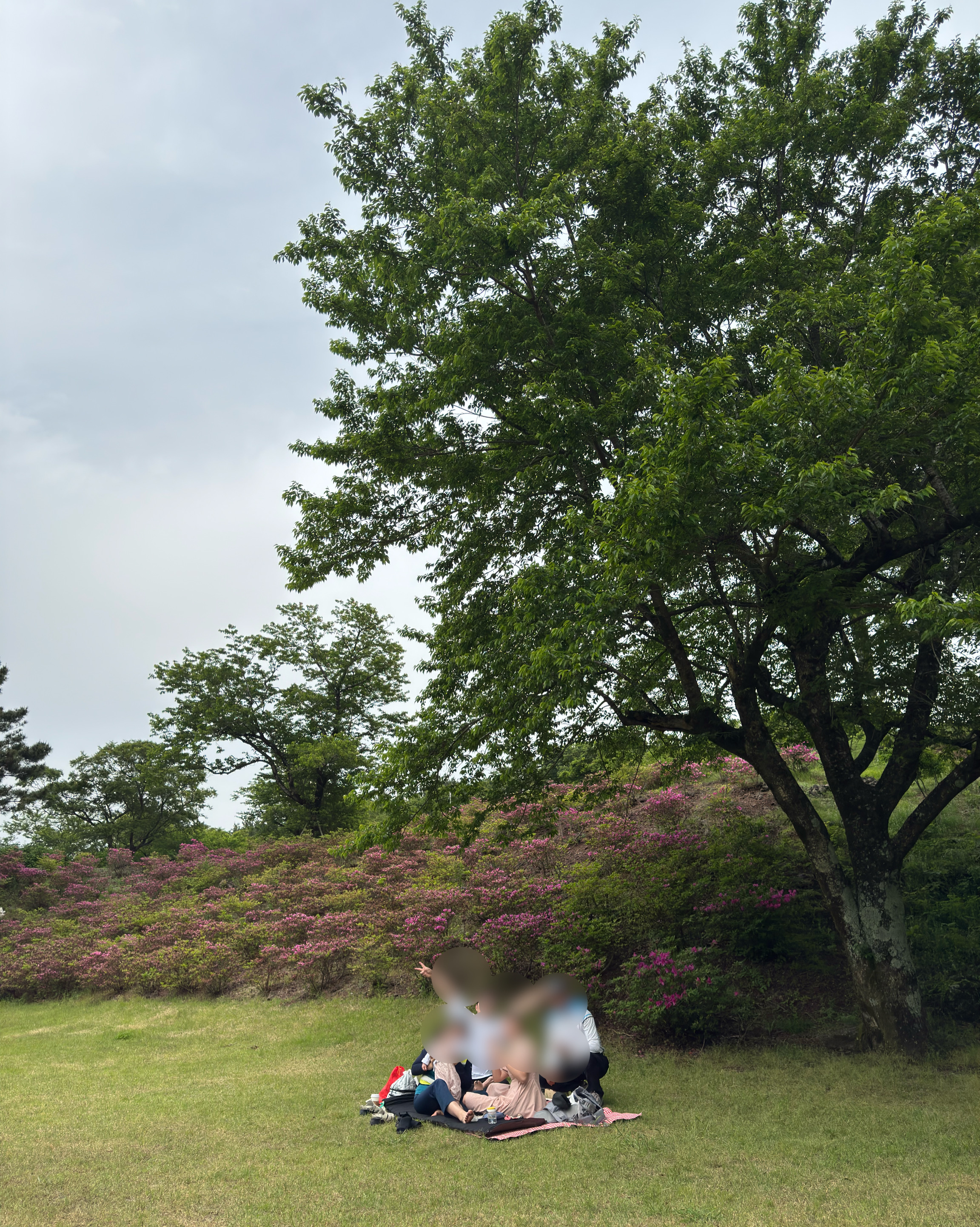 저번 주 비오는날 아이랑 왔다가 - 제주 맛집 이끼숲소길