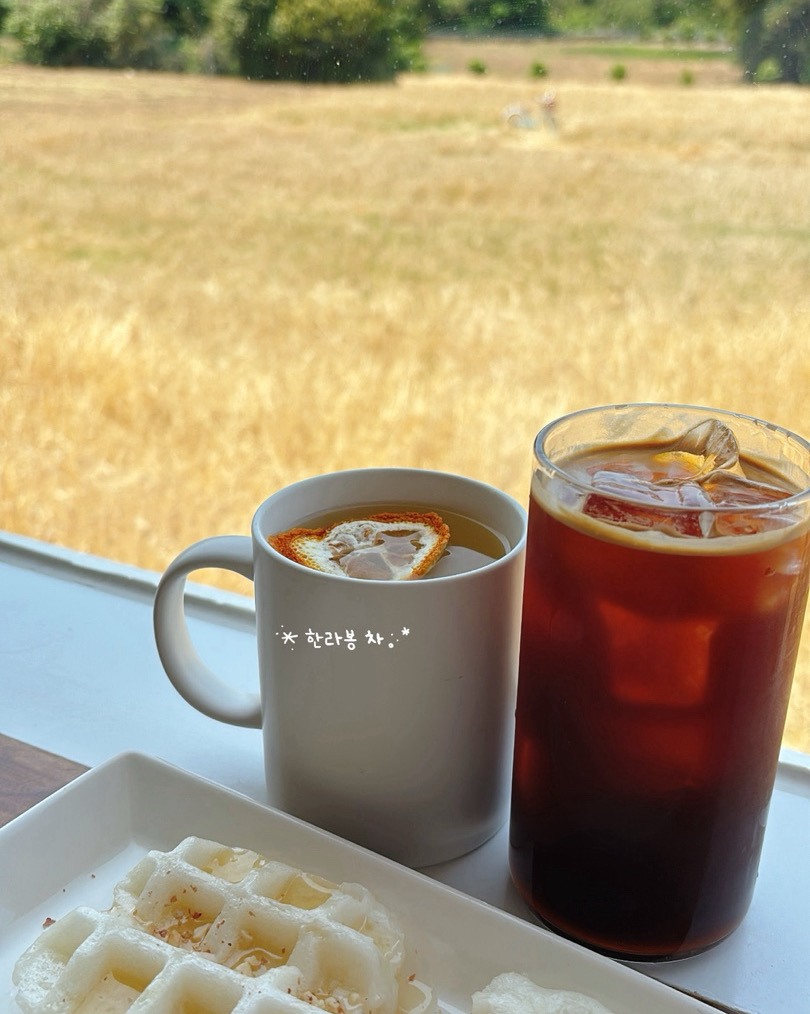 음료도 너무 맛있고 무엇보다 분위기가 너무 좋아요! 제주여행오시면 꼭 와보세요! - 제주 맛집 비케이브