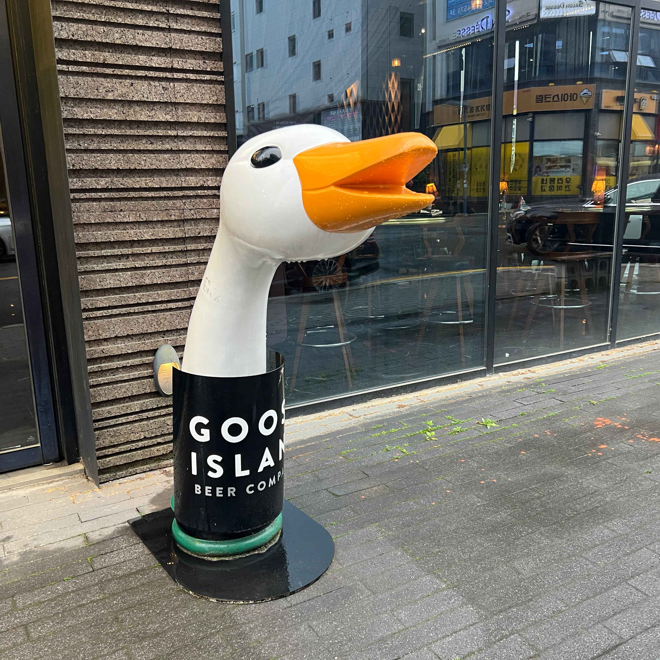 (협찬, 일부 내돈내산) - 대전 맛집 더몰트하우스 대전죽동점