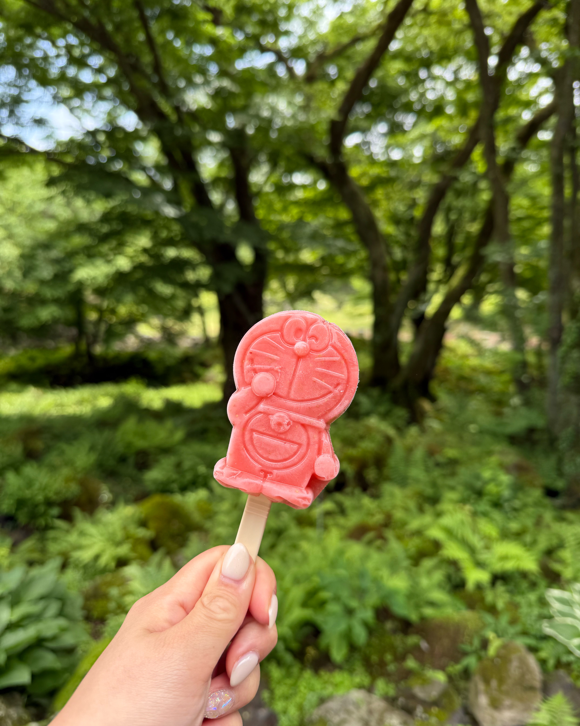 아이들과 부모님과 방문했는데 넓고 푸르고 조용하고 너무 좋아요~ 아이들이 좋아하는 아이스크