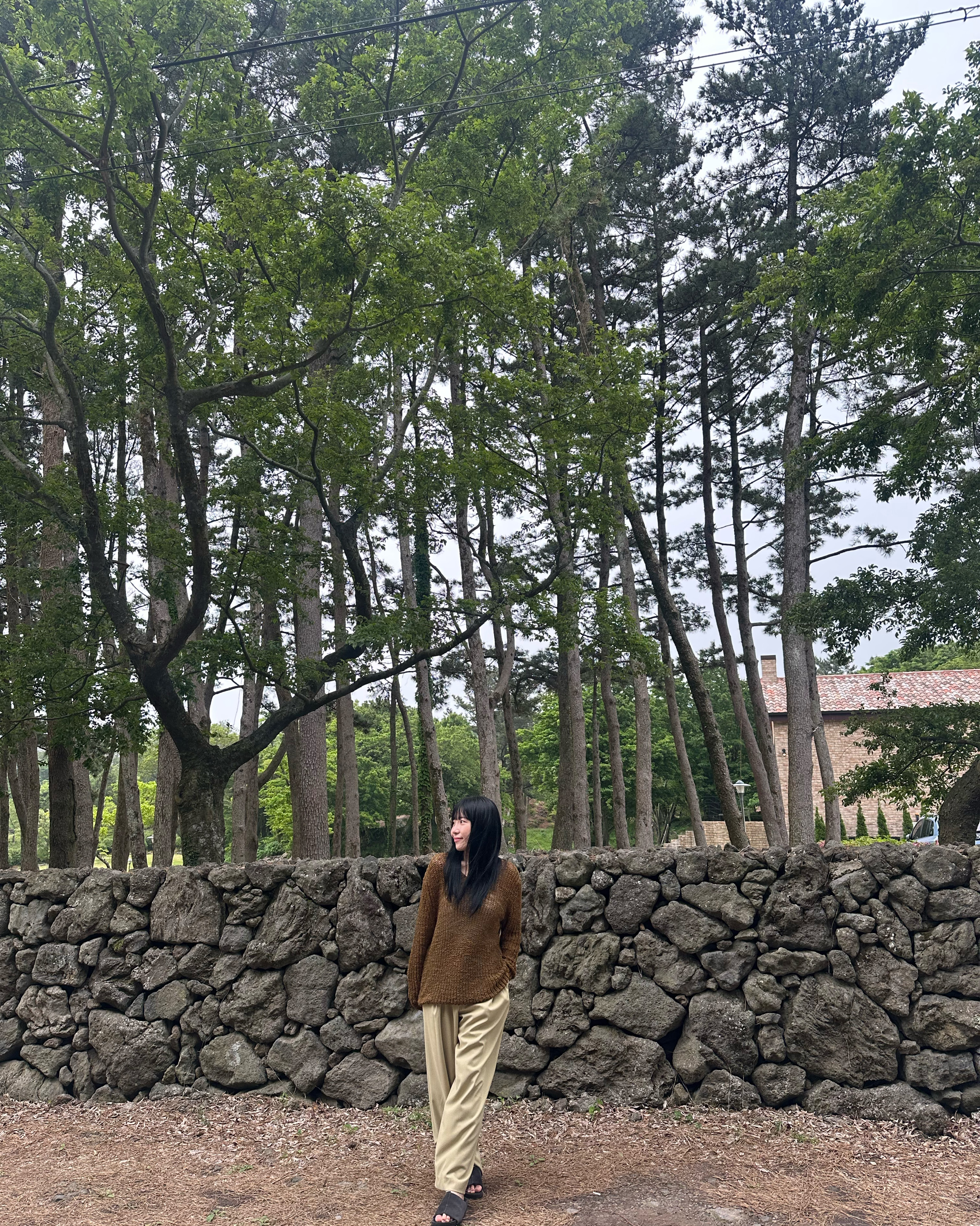 사진도잘나오고 디저트도맛있어요!! - 제주 맛집 이끼숲소길