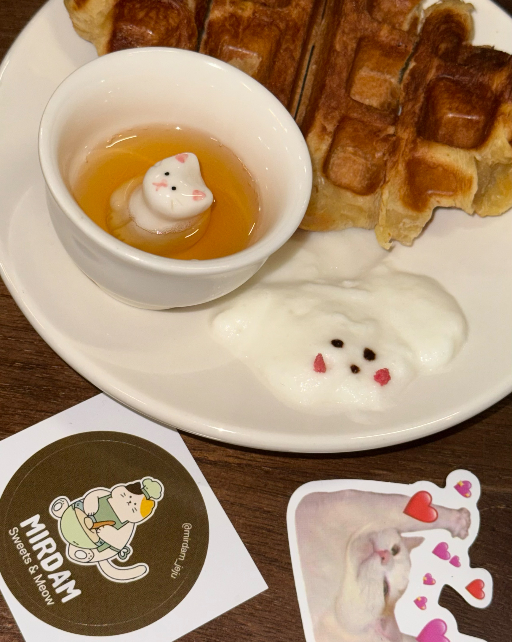 진심 크로플 꼭 드세요 대대대대존맛 실내에는 고양이가 거의 없었구 실외에서 많이 볼 수 있