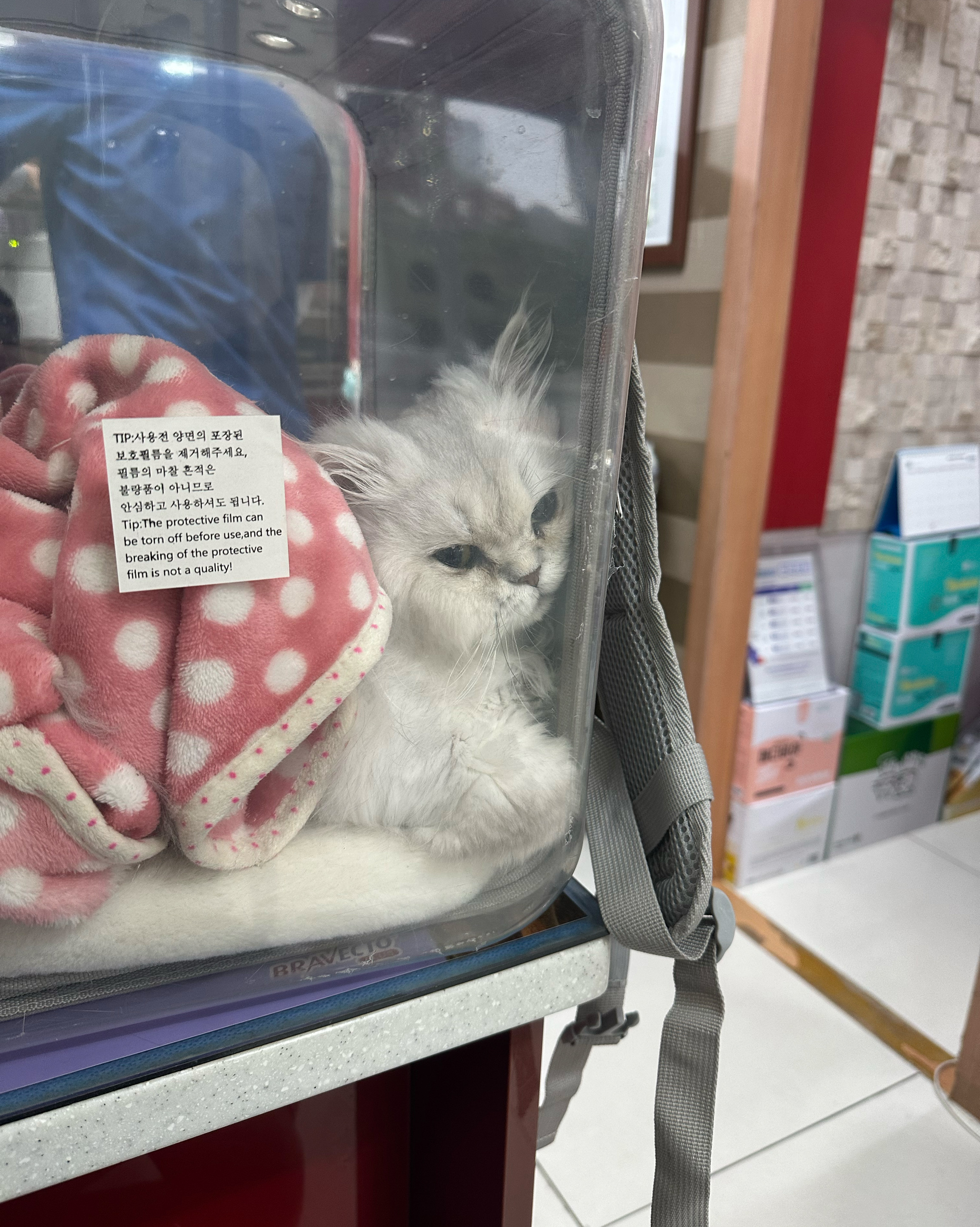 리뷰 사진 2