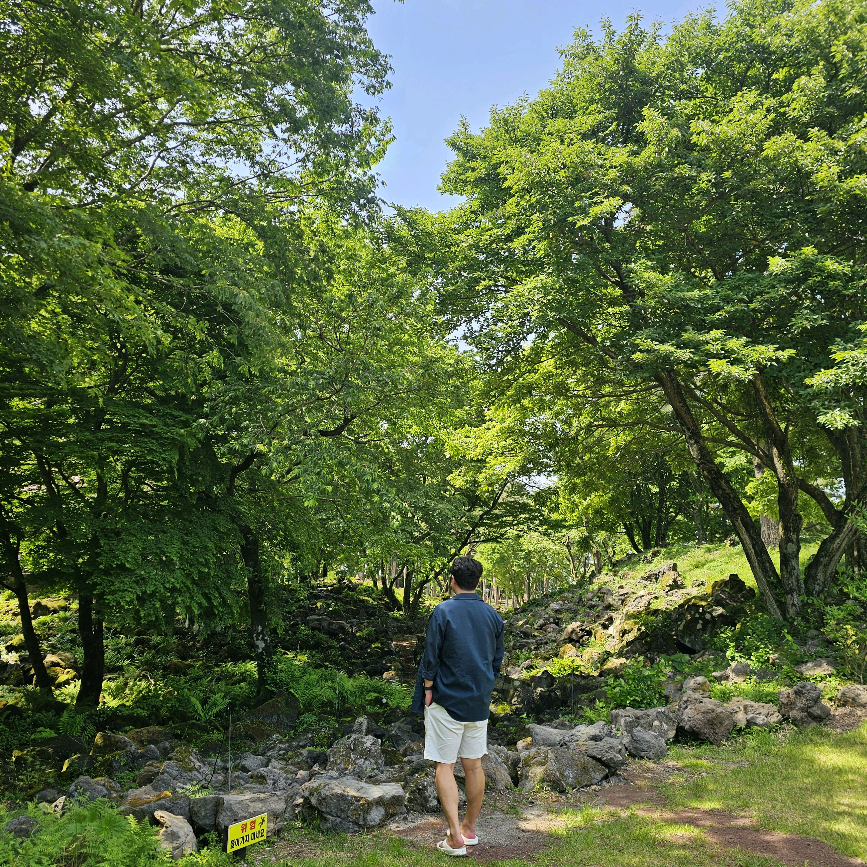주차장도 있고요 - 제주 맛집 이끼숲소길