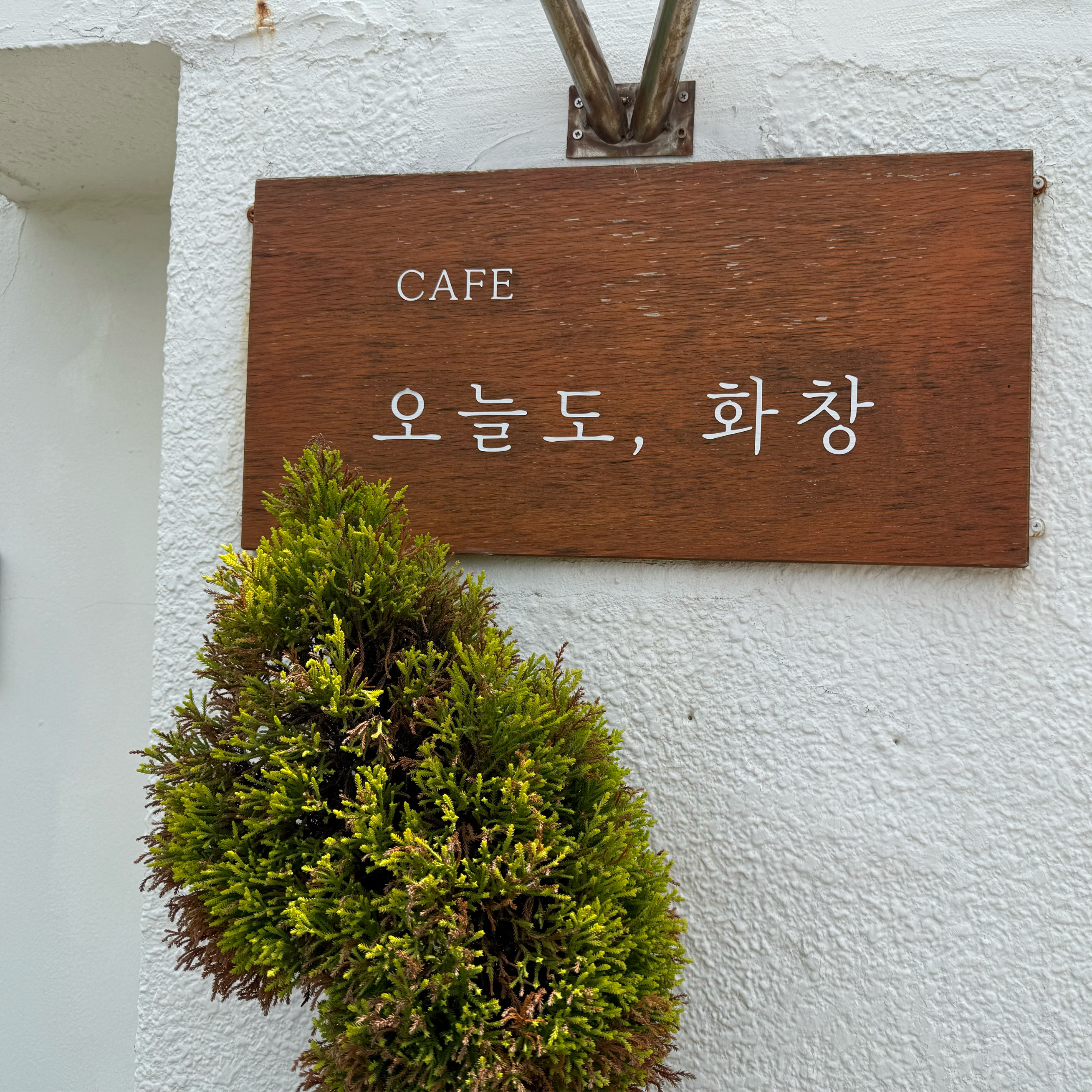 한라봉에이드 처음 시켰는데 맛있어요👍 - 제주 맛집 오늘도화창