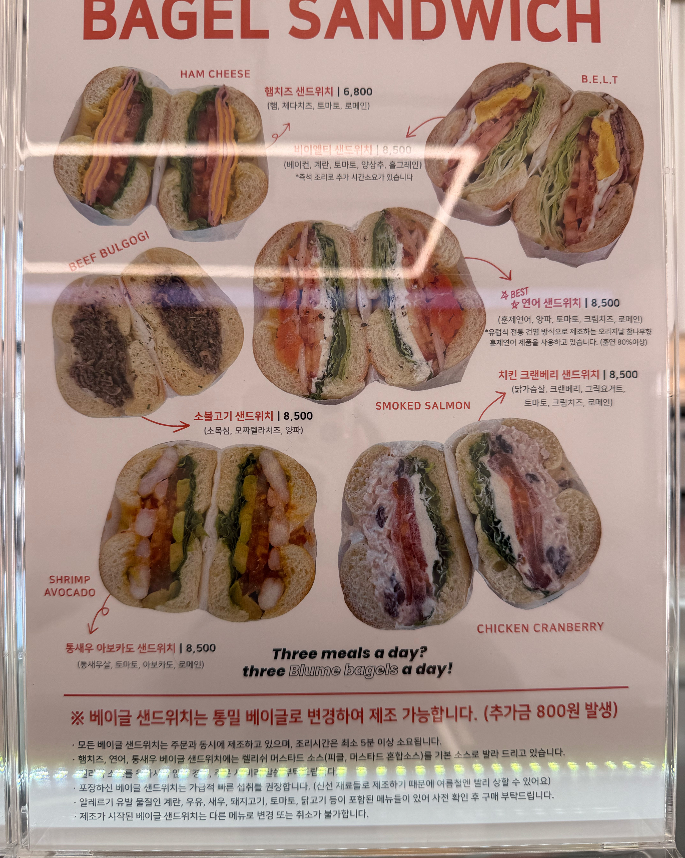 친구추천으로 왔습니다! 저는 포장으로 기본베이글 시키고 친구는 버터 먹었는데 완전 맛있네요