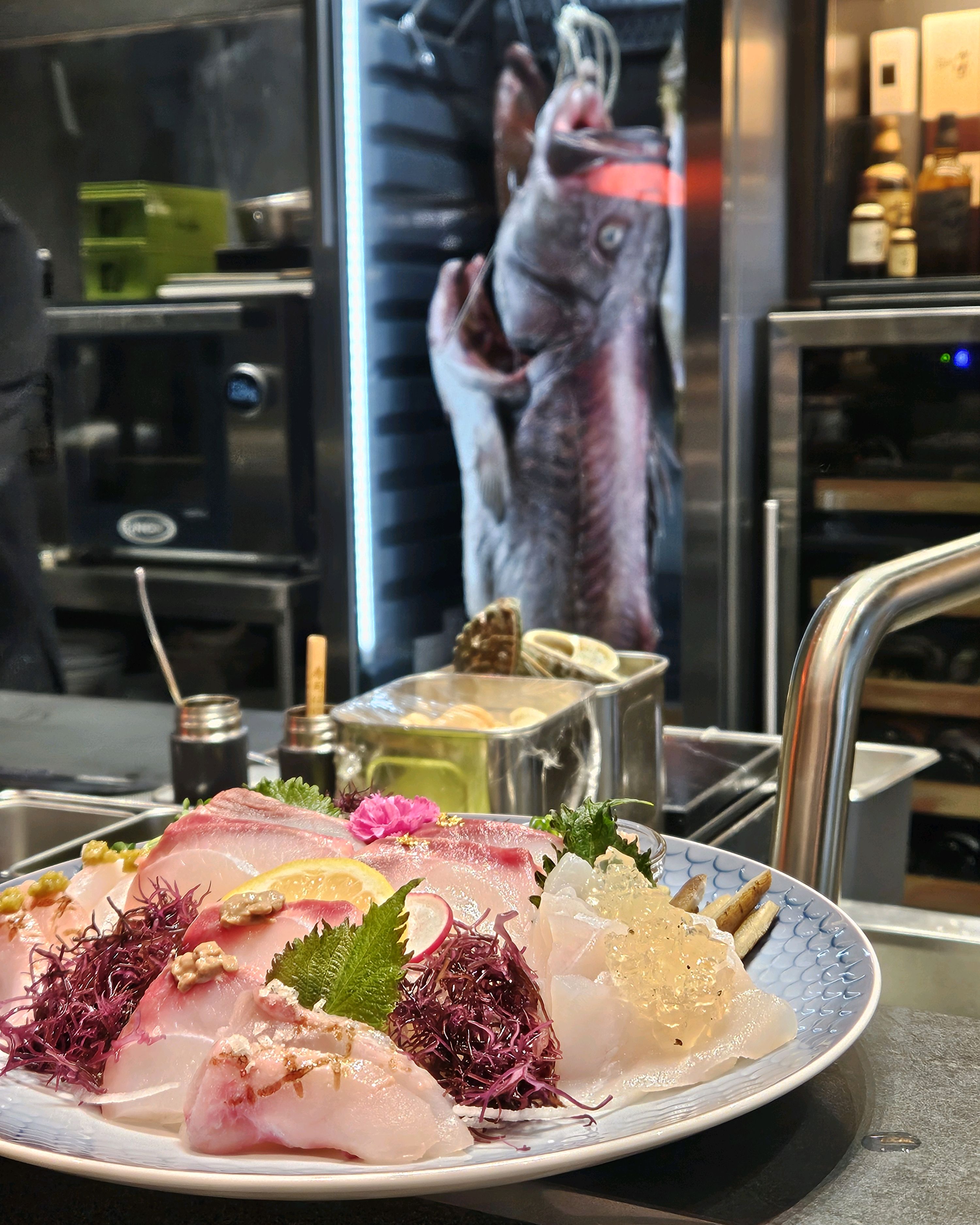 인스타로 돗돔 들어온거 보고 바로 예약하고 왔습니다. 돗돔 미쳤어요.. - 대전 맛집 소리