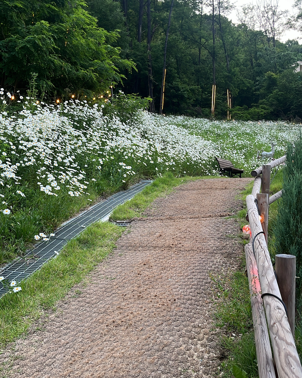 에어컨 있어서 시원하고 인테리어가 예뻐요!! - 대전 맛집 야외바베큐 모닥303