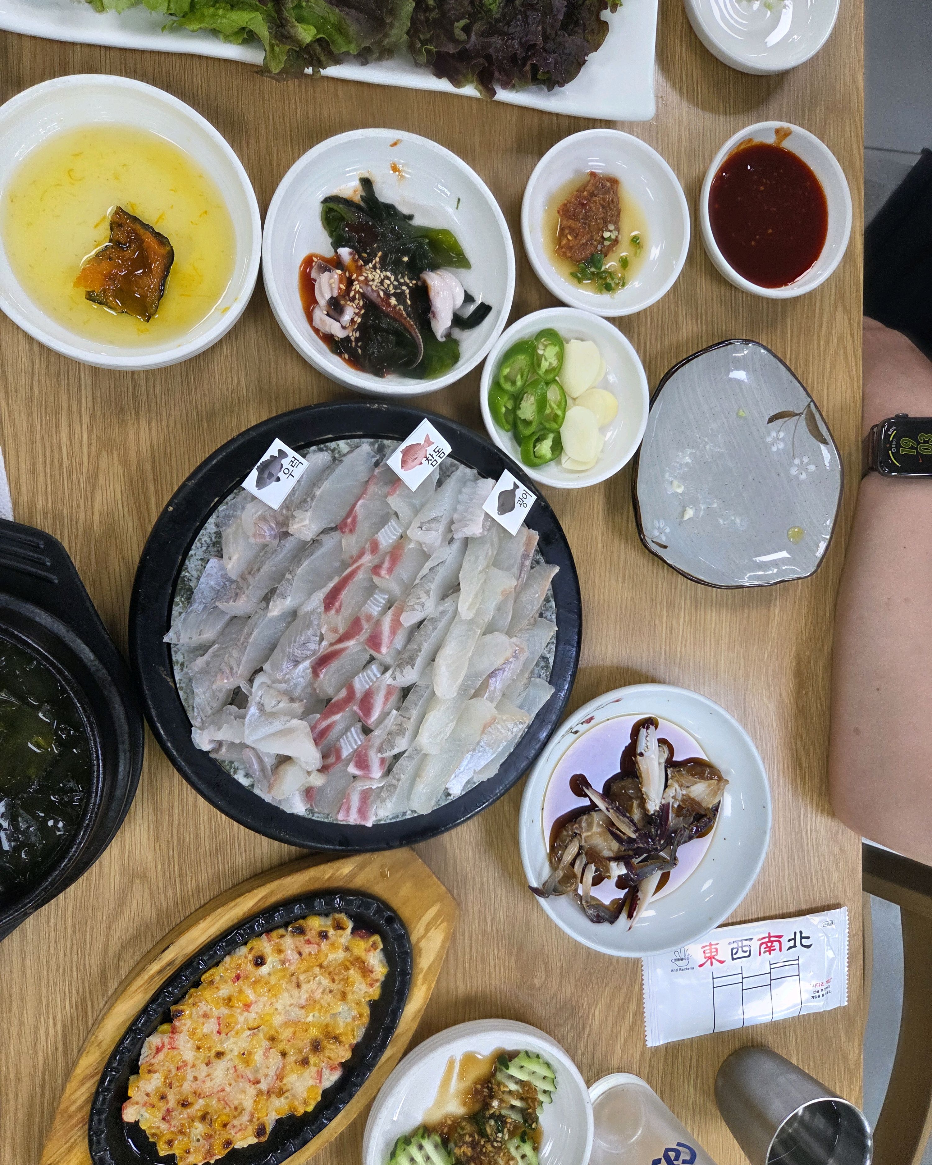 처음방문 했어요 - 대구 맛집 회신물회