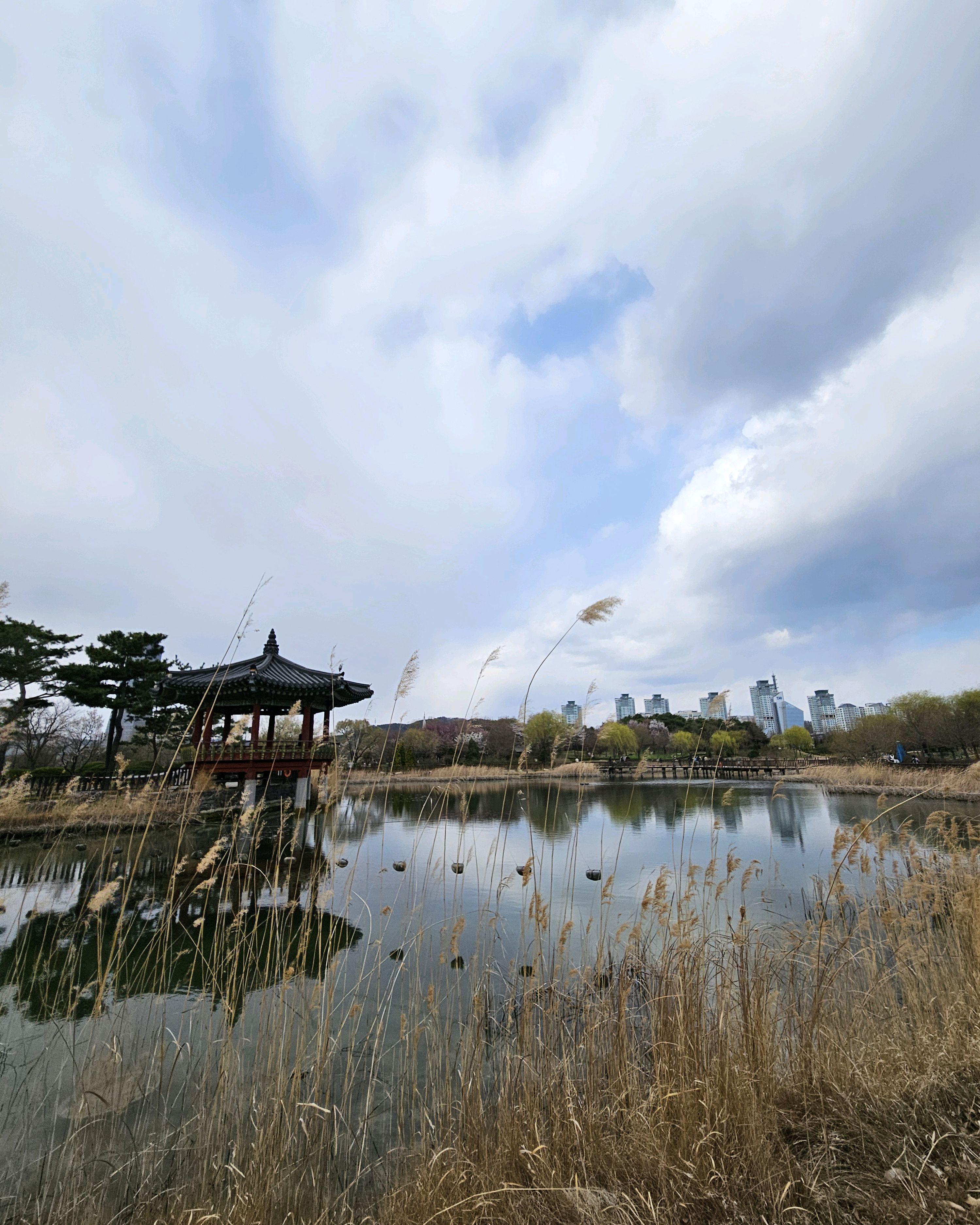 한밭수목원에서 가까워 모임하기 좋은 집 - 대전 맛집 가림소담