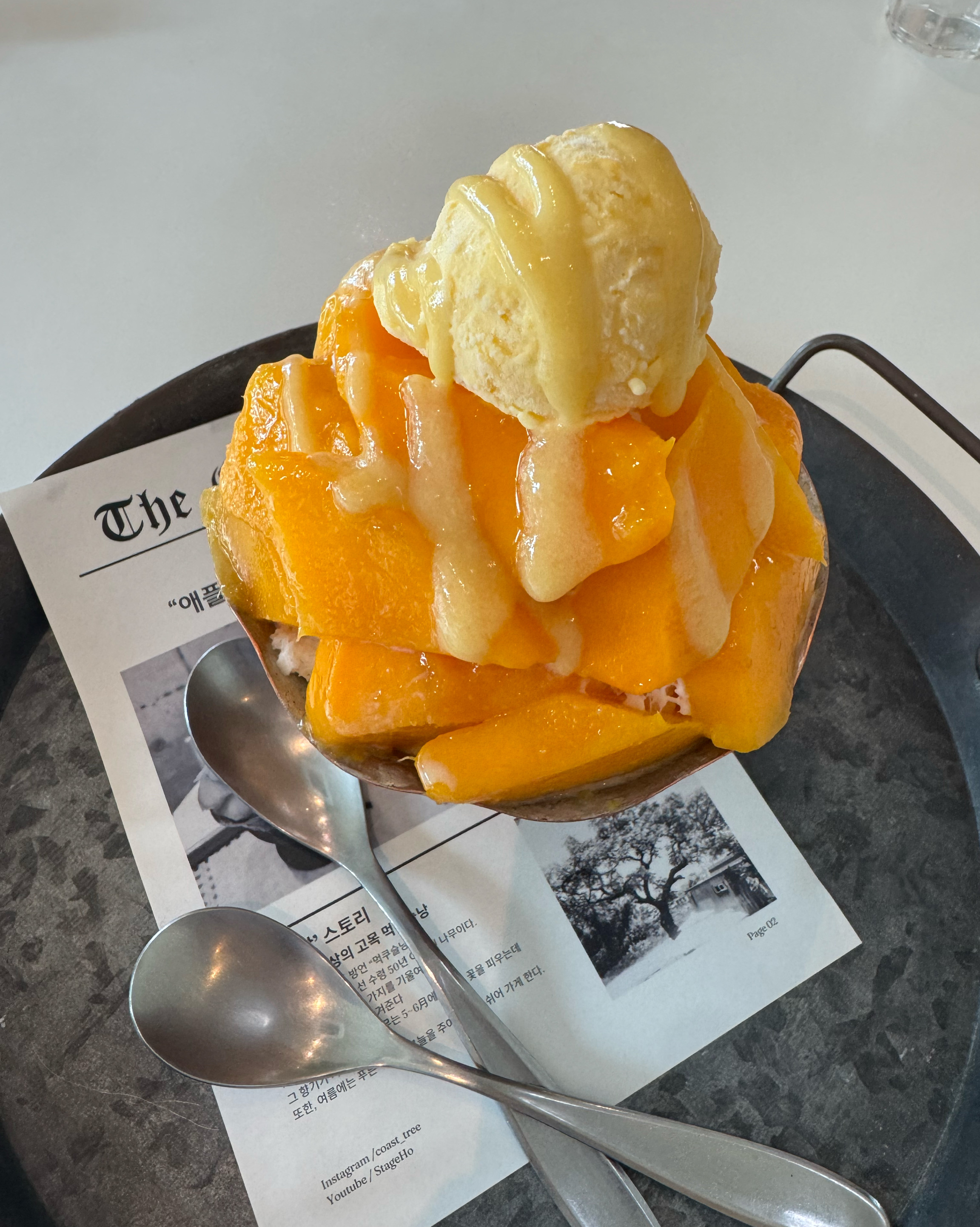 호텔 가기전에 버스터미널에서 가까워서 들려봤는데 세상에🥹🥹 제가 먹어본 망고중에서 제일 맛