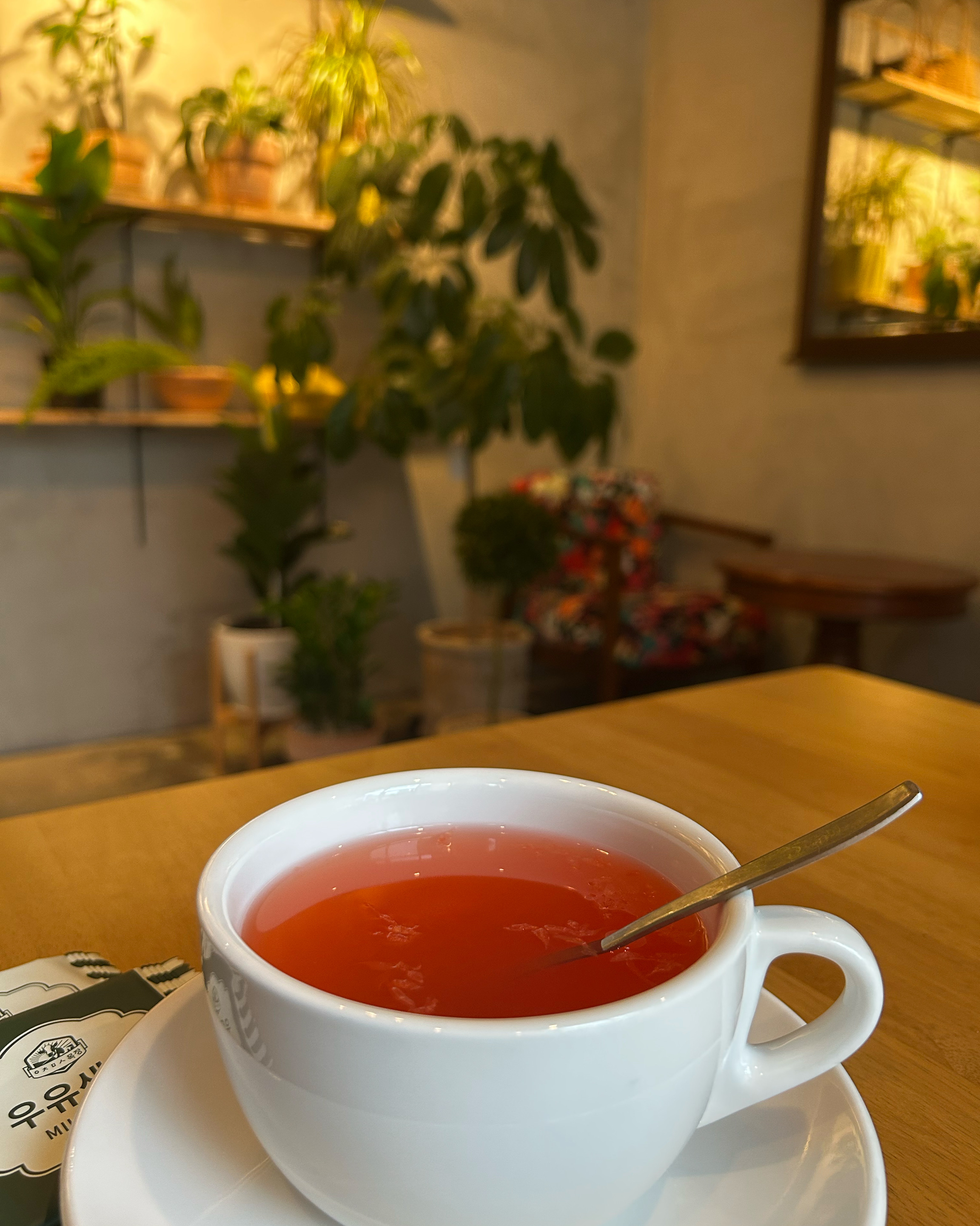 Grapefruit tea