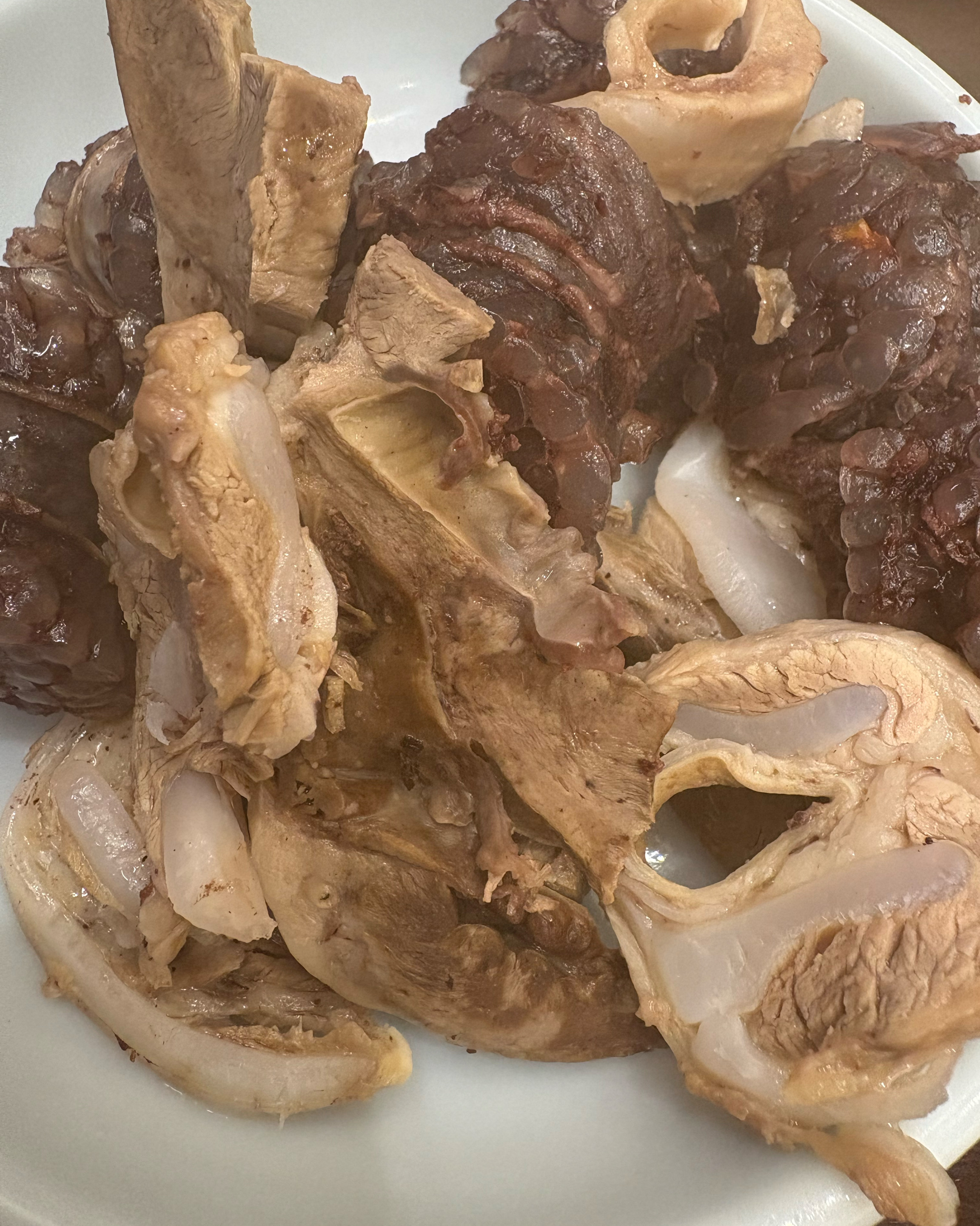 순대 진짜 개 레전드 맛돌이 - 대구 맛집 산더미 미성돼지국밥 경대점